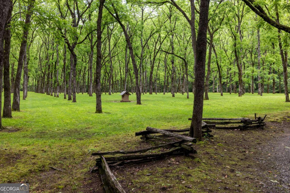 7320 Chestnut Valley Road Hiawassee, GA 30546 - Photo 51 of 91 a view of a park with a tree