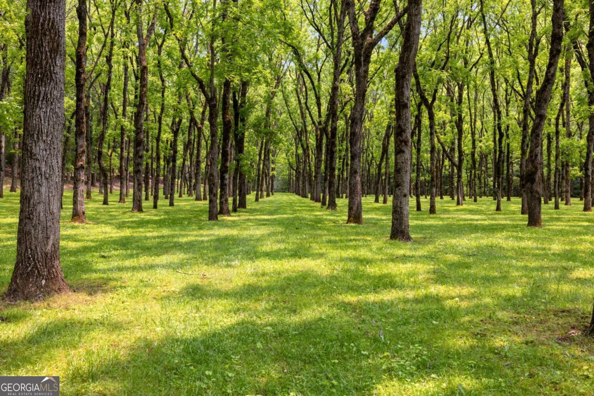 7320 Chestnut Valley Road Hiawassee, GA 30546 - Photo 52 of 91