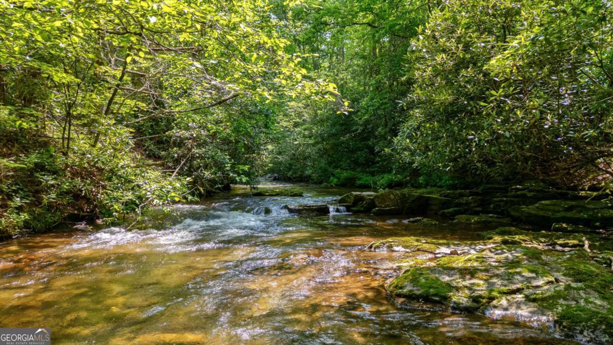 7320 Chestnut Valley Road Hiawassee, GA 30546 - Photo 57 of 91 a view of swimming pool with lawn chairs and plants