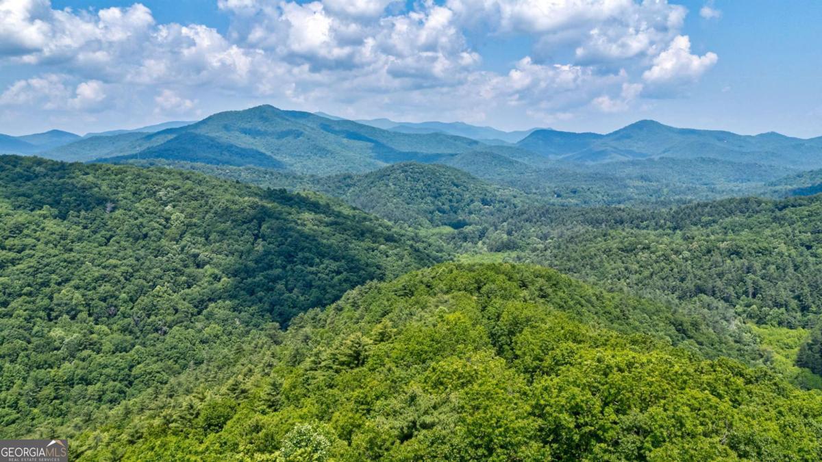 7320 Chestnut Valley Road Hiawassee, GA 30546 - Photo 60 of 91 a view of a mountain in the distance in a field