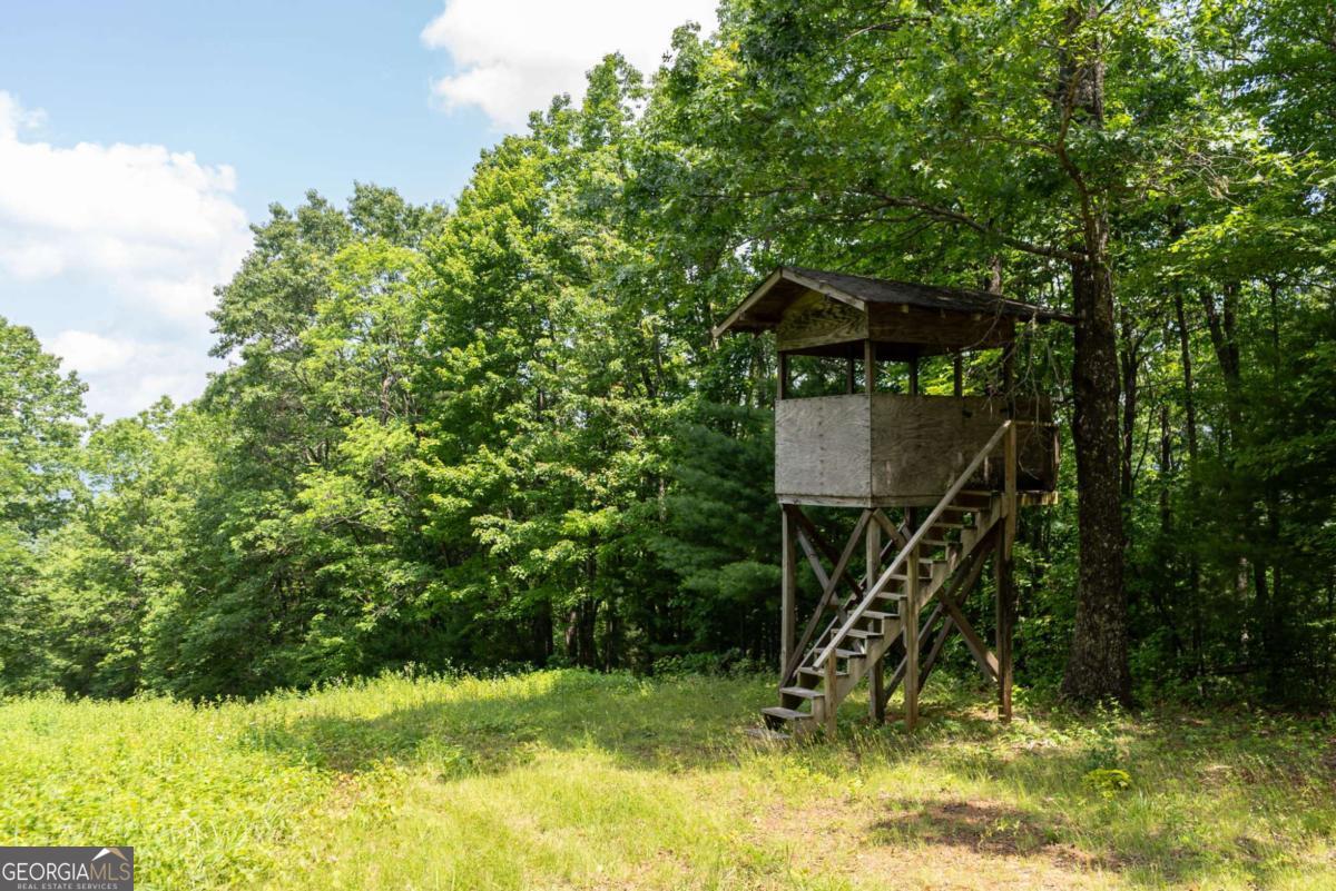 7320 Chestnut Valley Road Hiawassee, GA 30546 - Photo 61 of 91