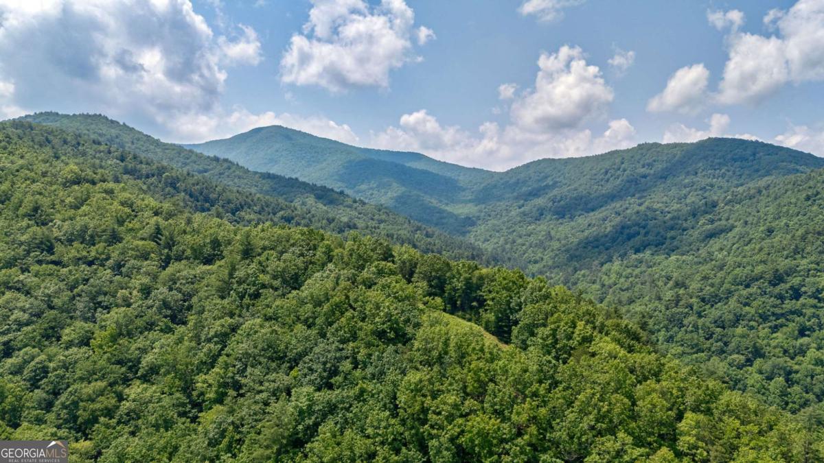 7320 Chestnut Valley Road Hiawassee, GA 30546 - Photo 63 of 91 a view of a mountain in the distance in a field
