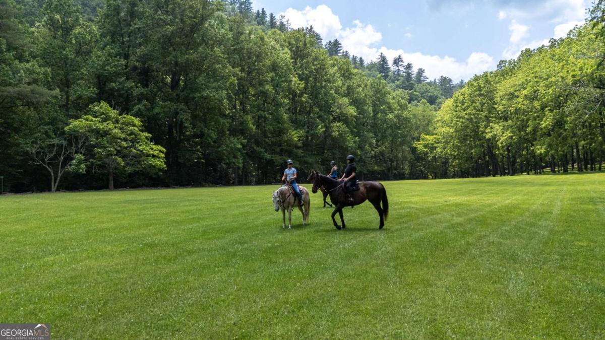 7320 Chestnut Valley Road Hiawassee, GA 30546 - Photo 69 of 91