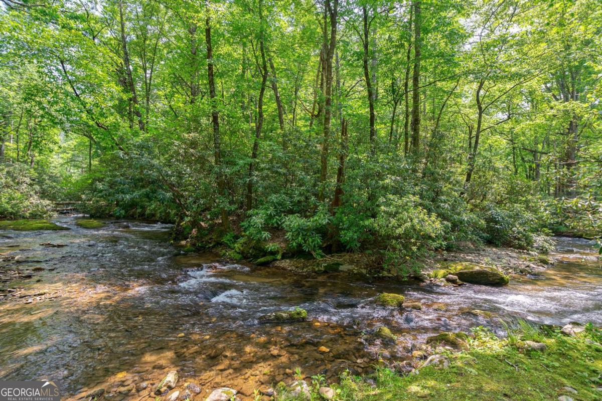7320 Chestnut Valley Road Hiawassee, GA 30546 - Photo 70 of 91 a big yard with lots of green space and trees