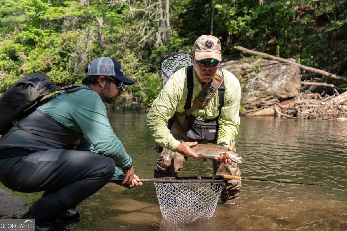 7320 Chestnut Valley Road Hiawassee, GA 30546 - Photo 7 of 91