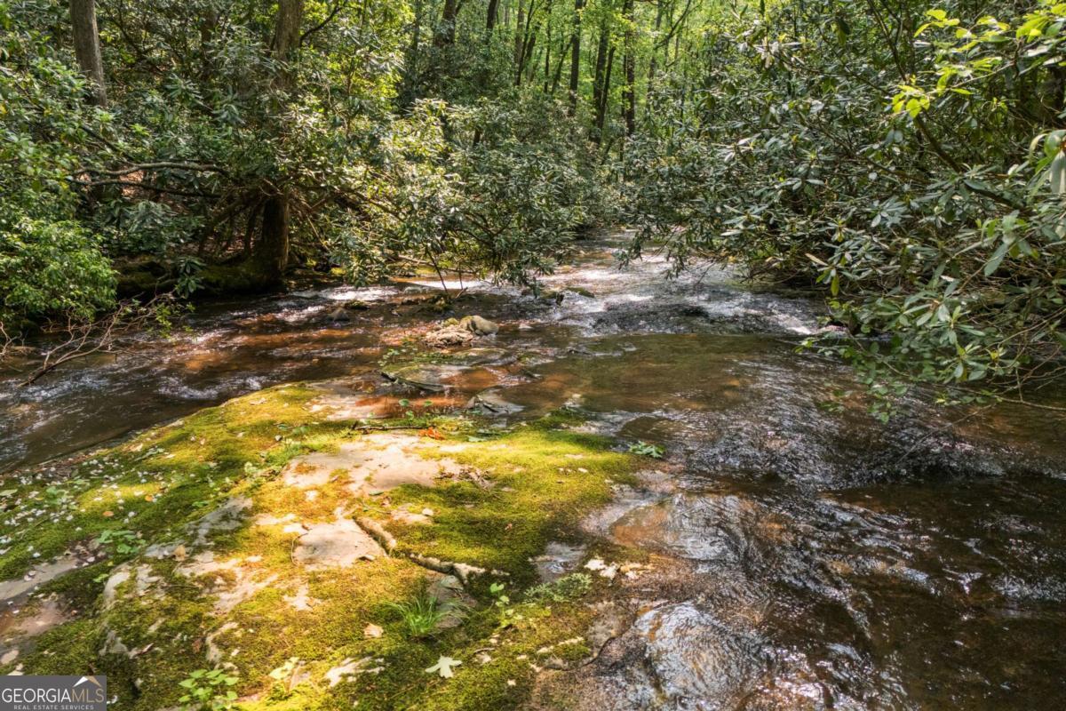 7320 Chestnut Valley Road Hiawassee, GA 30546 - Photo 75 of 91