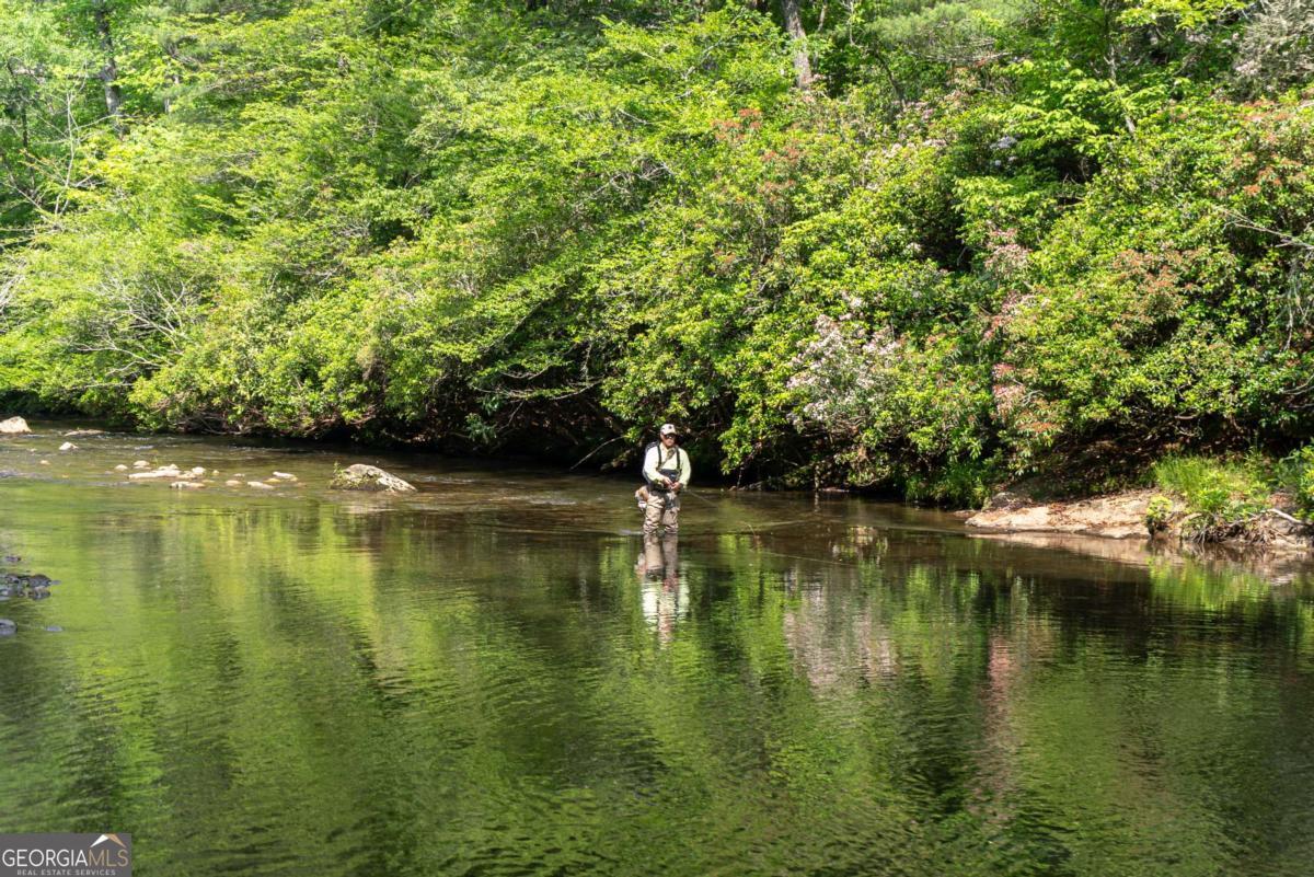 7320 Chestnut Valley Road Hiawassee, GA 30546 - Photo 76 of 91 a view of lake with green space