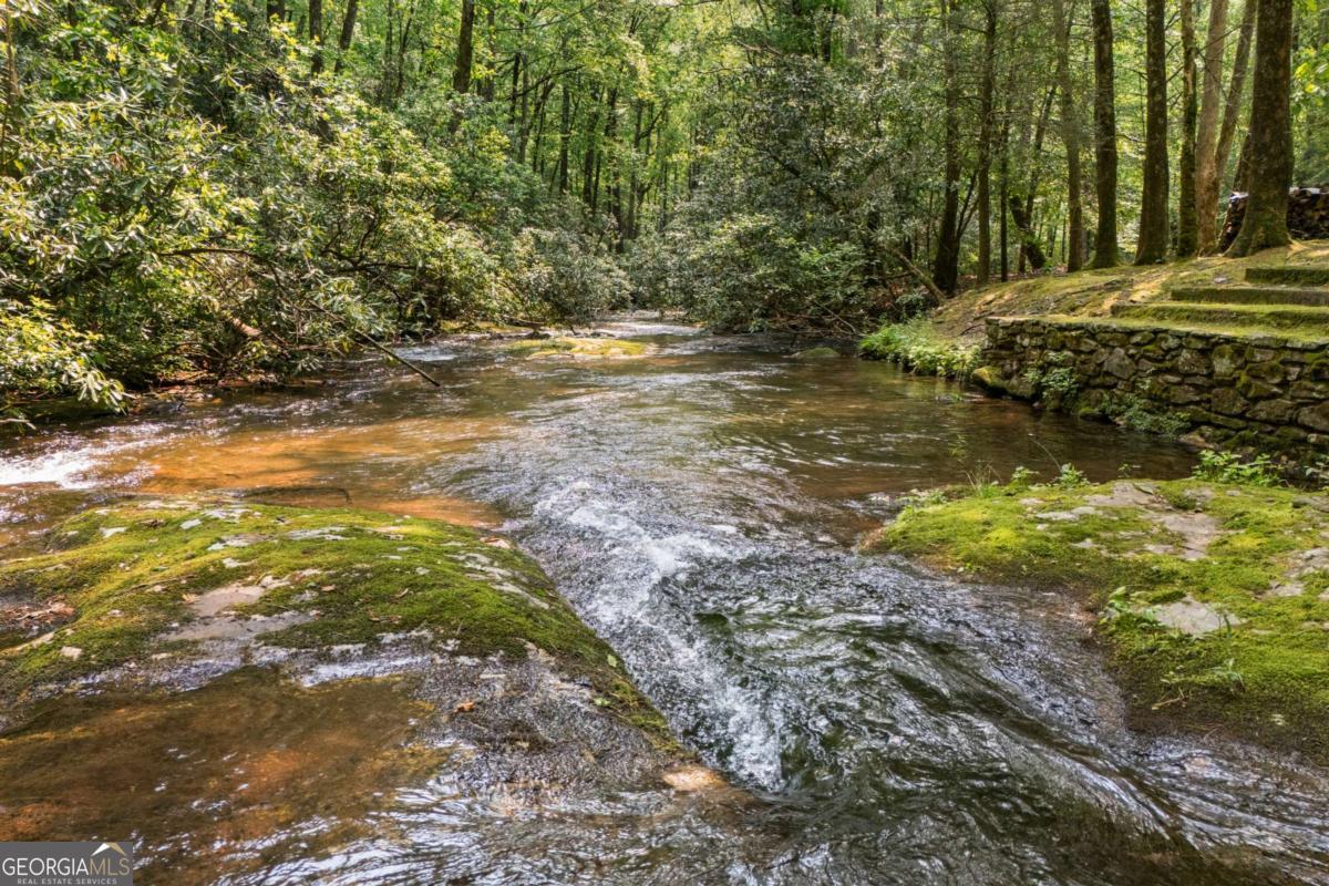7320 Chestnut Valley Road Hiawassee, GA 30546 - Photo 77 of 91 a view of a tree with a yard