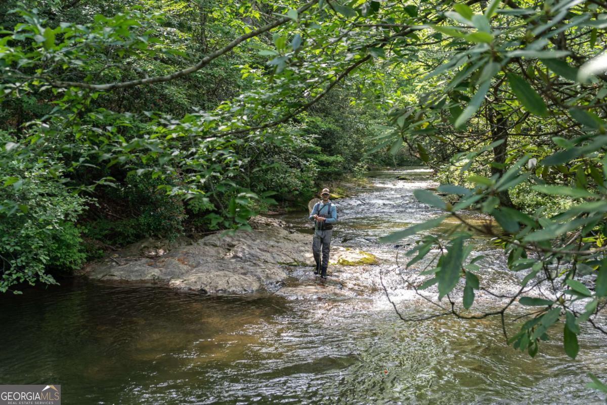7320 Chestnut Valley Road Hiawassee, GA 30546 - Photo 78 of 91