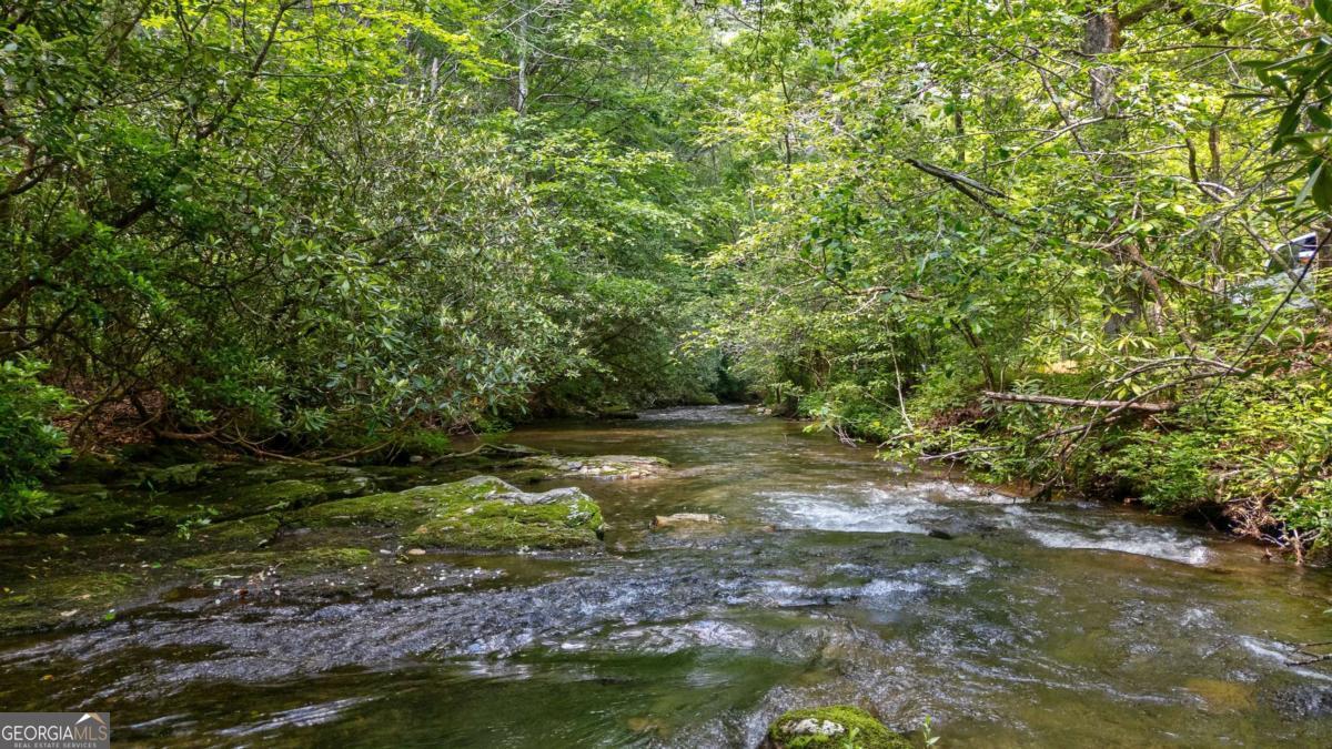 7320 Chestnut Valley Road Hiawassee, GA 30546 - Photo 79 of 91 a view of backyard with green space
