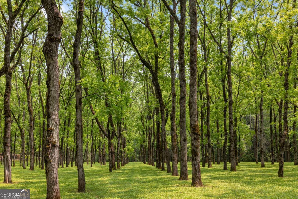 7320 Chestnut Valley Road Hiawassee, GA 30546 - Photo 8 of 91 a view of an outdoor space with a lake view