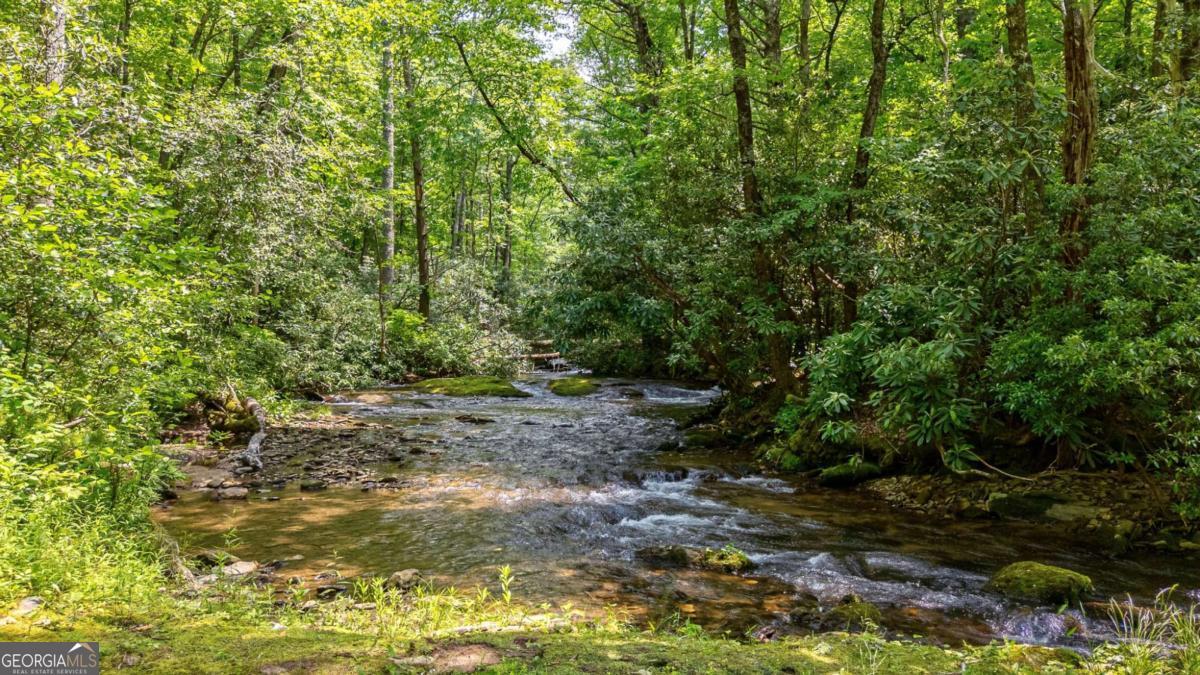 7320 Chestnut Valley Road Hiawassee, GA 30546 - Photo 86 of 91 a view of a yard with plants and large trees
