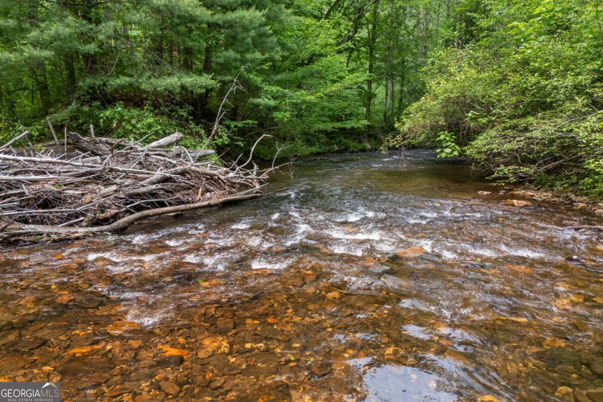 7320 Chestnut Valley Road Hiawassee, GA 30546 - Photo 88 of 91