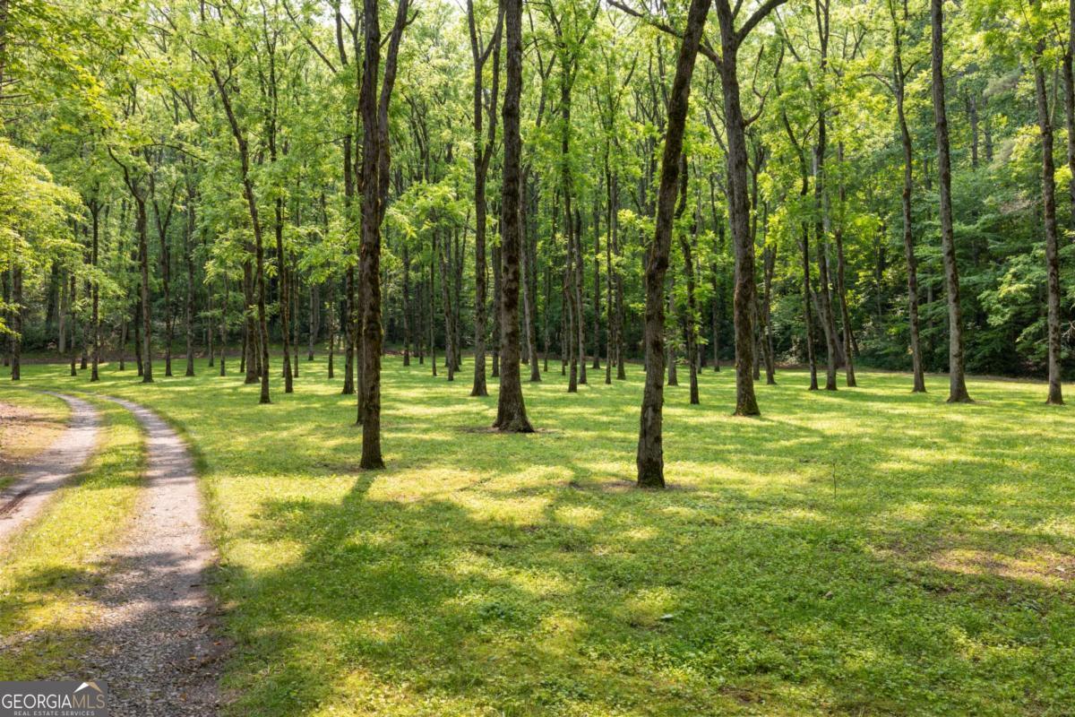 7320 Chestnut Valley Road Hiawassee, GA 30546 - Photo 89 of 91 a view of a park with a tree