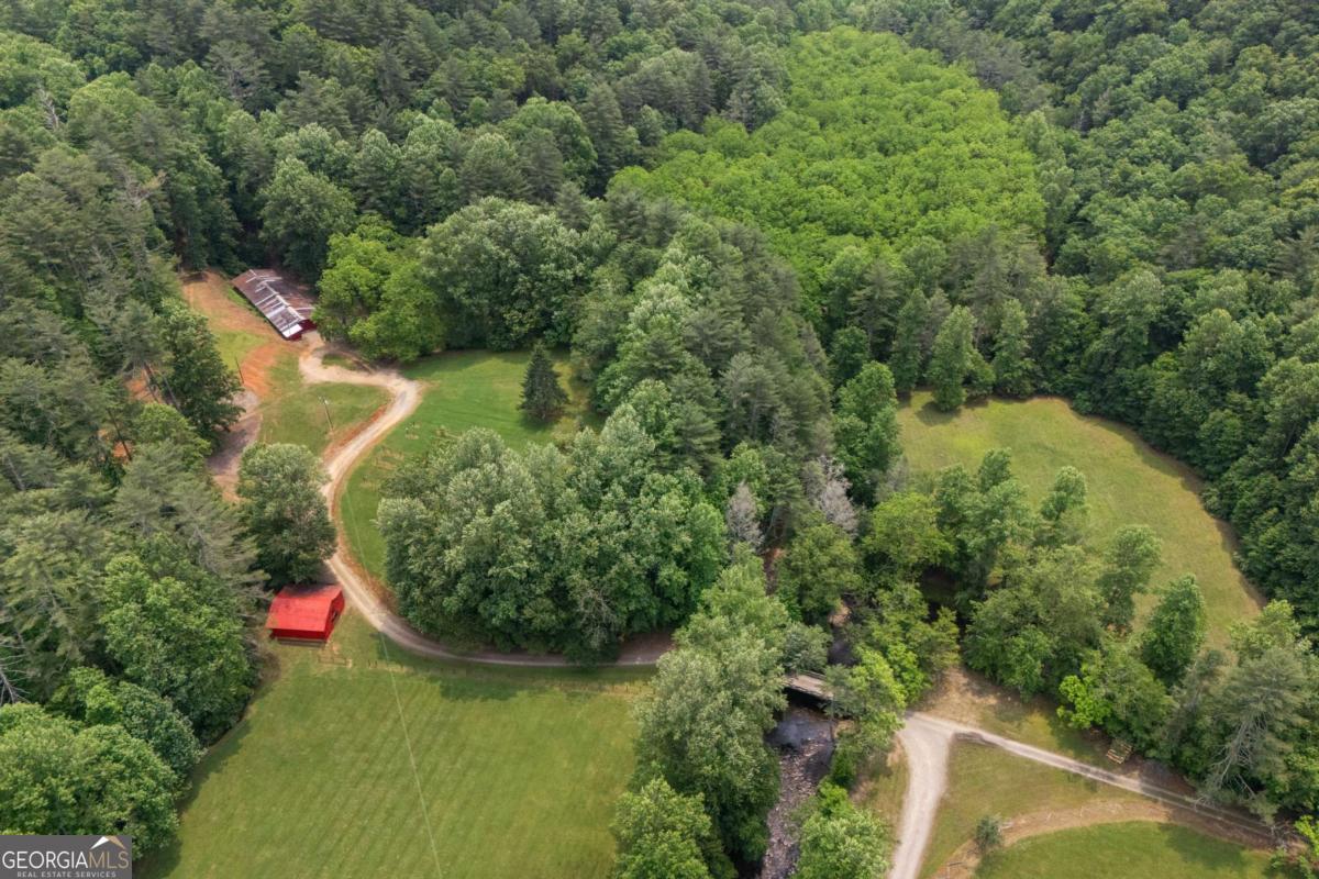 7320 Chestnut Valley Road Hiawassee, GA 30546 - Photo 9 of 91 an aerial view of residential house with outdoor space and trees all around