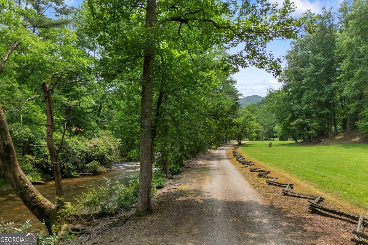 7320 Chestnut Valley Road Hiawassee, GA 30546 - Photo 10 of 91 a view of a street and trees