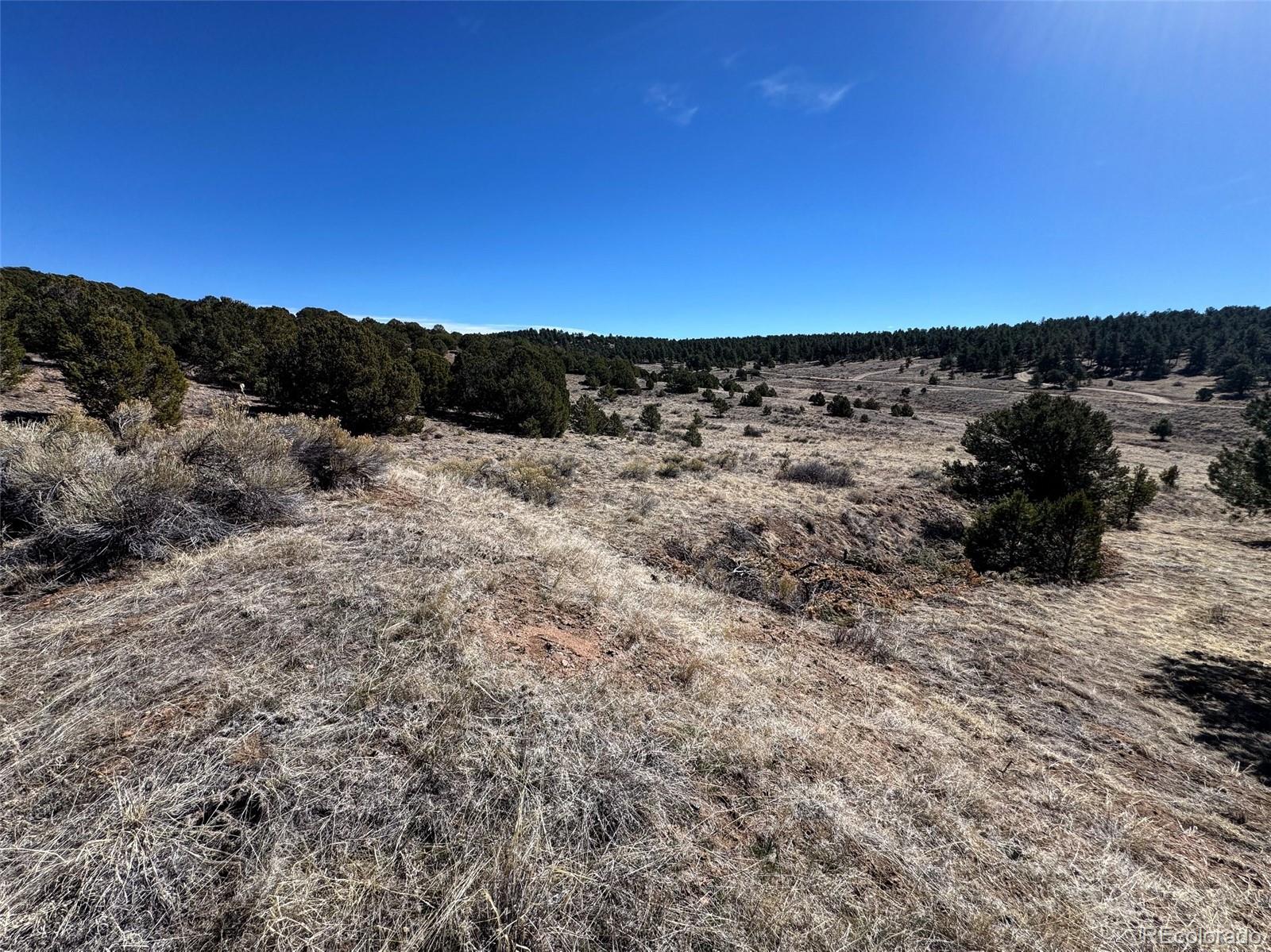514 Kiowa Road Westcliffe, CO 81252 - Photo 11 of 27 a view of a dry yard with wooden fence