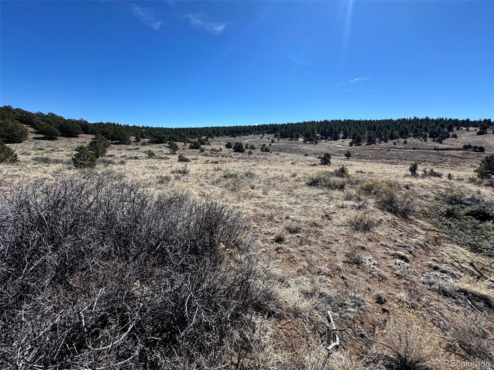 514 Kiowa Road Westcliffe, CO 81252 - Photo 12 of 27 a view of mountains and mountain