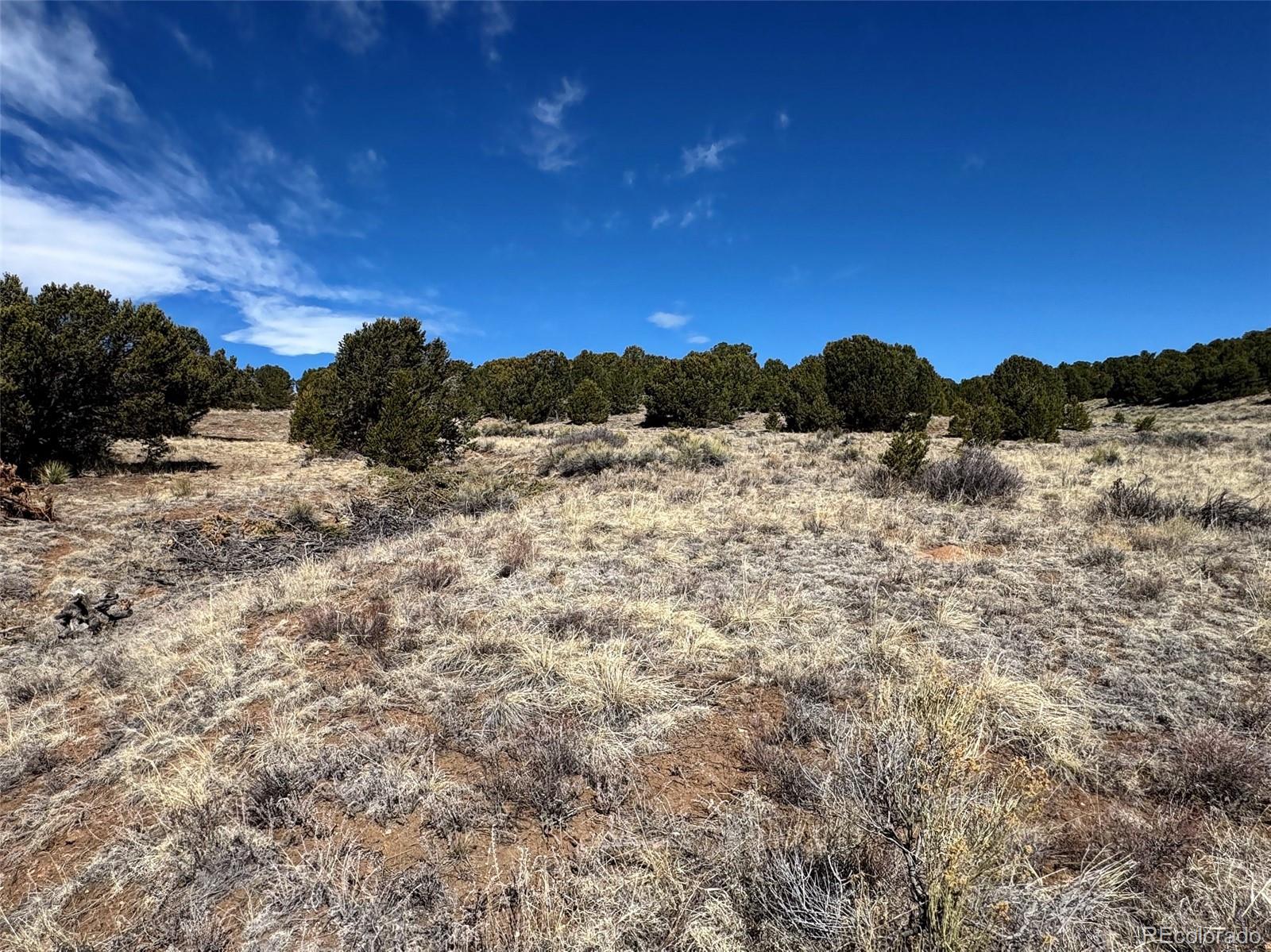 514 Kiowa Road Westcliffe, CO 81252 - Photo 13 of 27 a view of mountain view with trees
