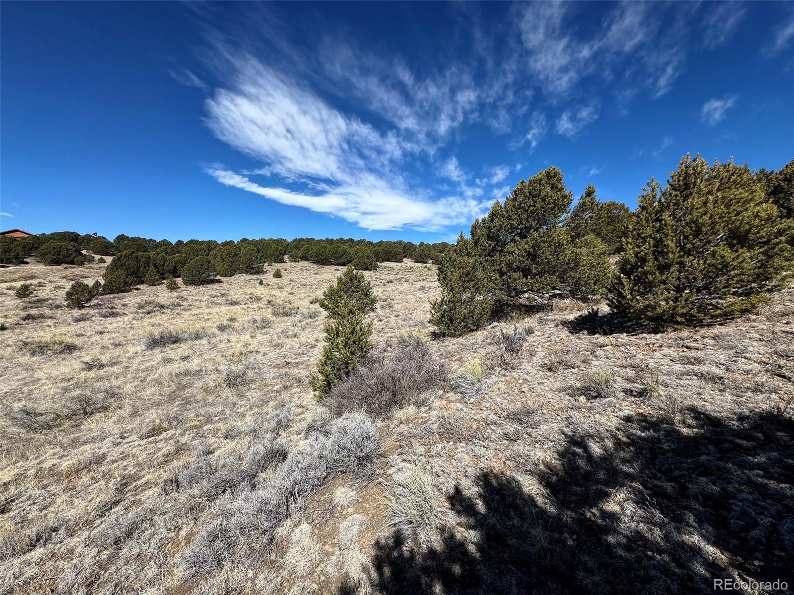 514 Kiowa Road Westcliffe, CO 81252 - Photo 17 of 27 a view of mountain view with lots of trees