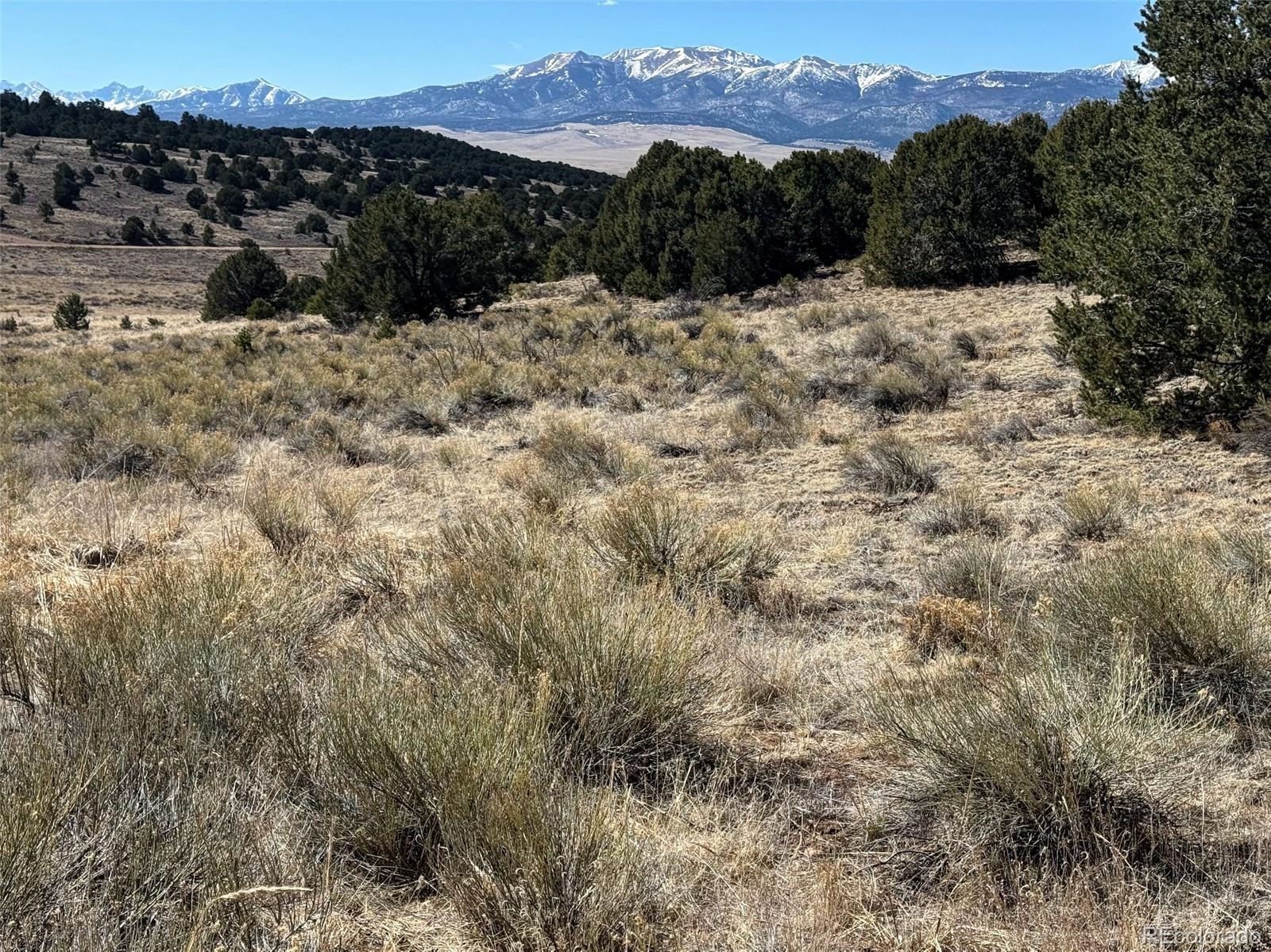 514 Kiowa Road Westcliffe, CO 81252 - Photo 21 of 27 a view of a dry yard