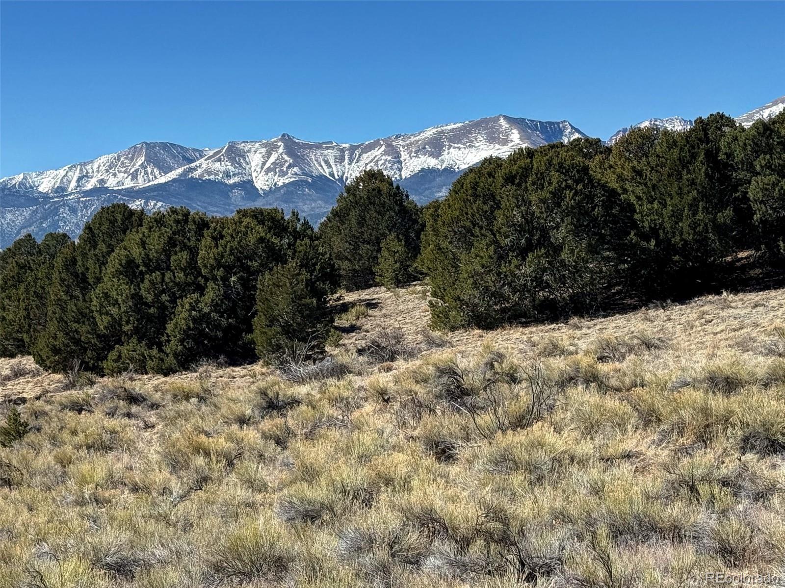 514 Kiowa Road Westcliffe, CO 81252 - Photo 23 of 27 a view of a large tree with a snow in the background