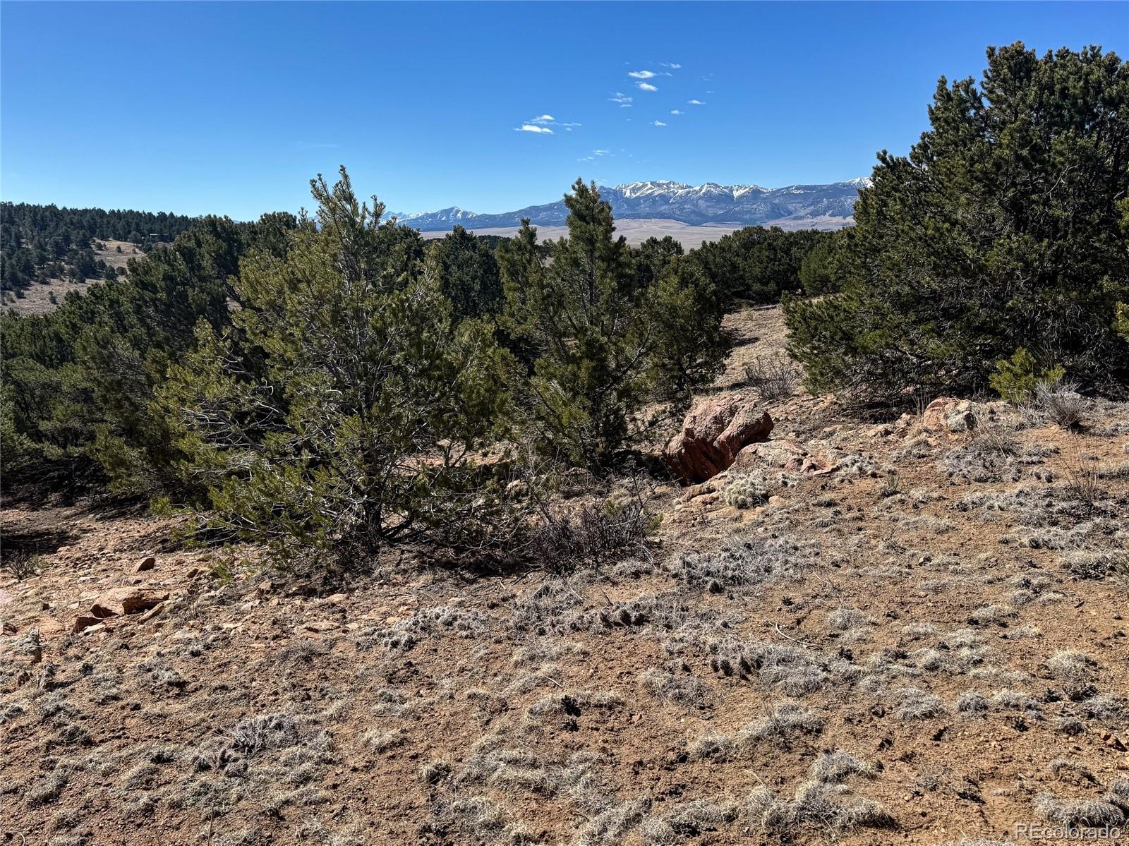 514 Kiowa Road Westcliffe, CO 81252 - Photo 25 of 27 a view of a dry yard with mountains in the background