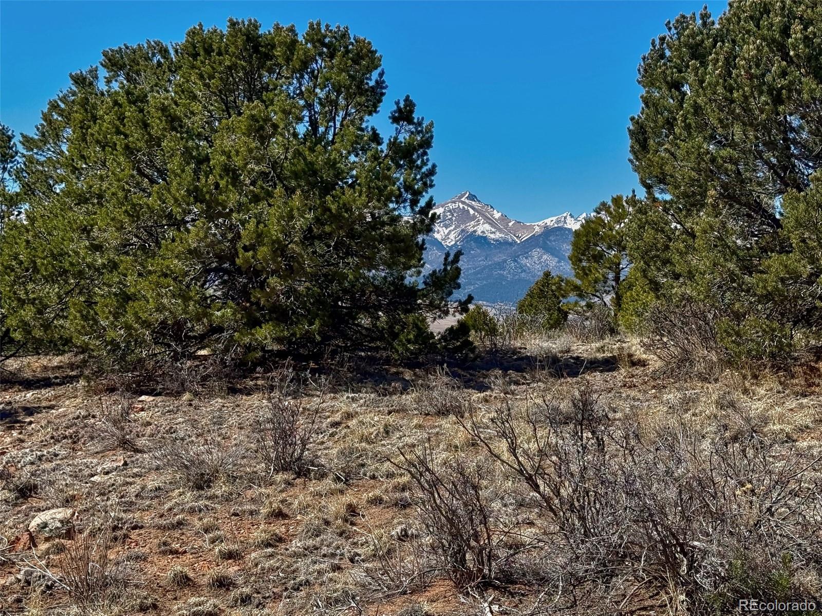 514 Kiowa Road Westcliffe, CO 81252 - Photo 5 of 27