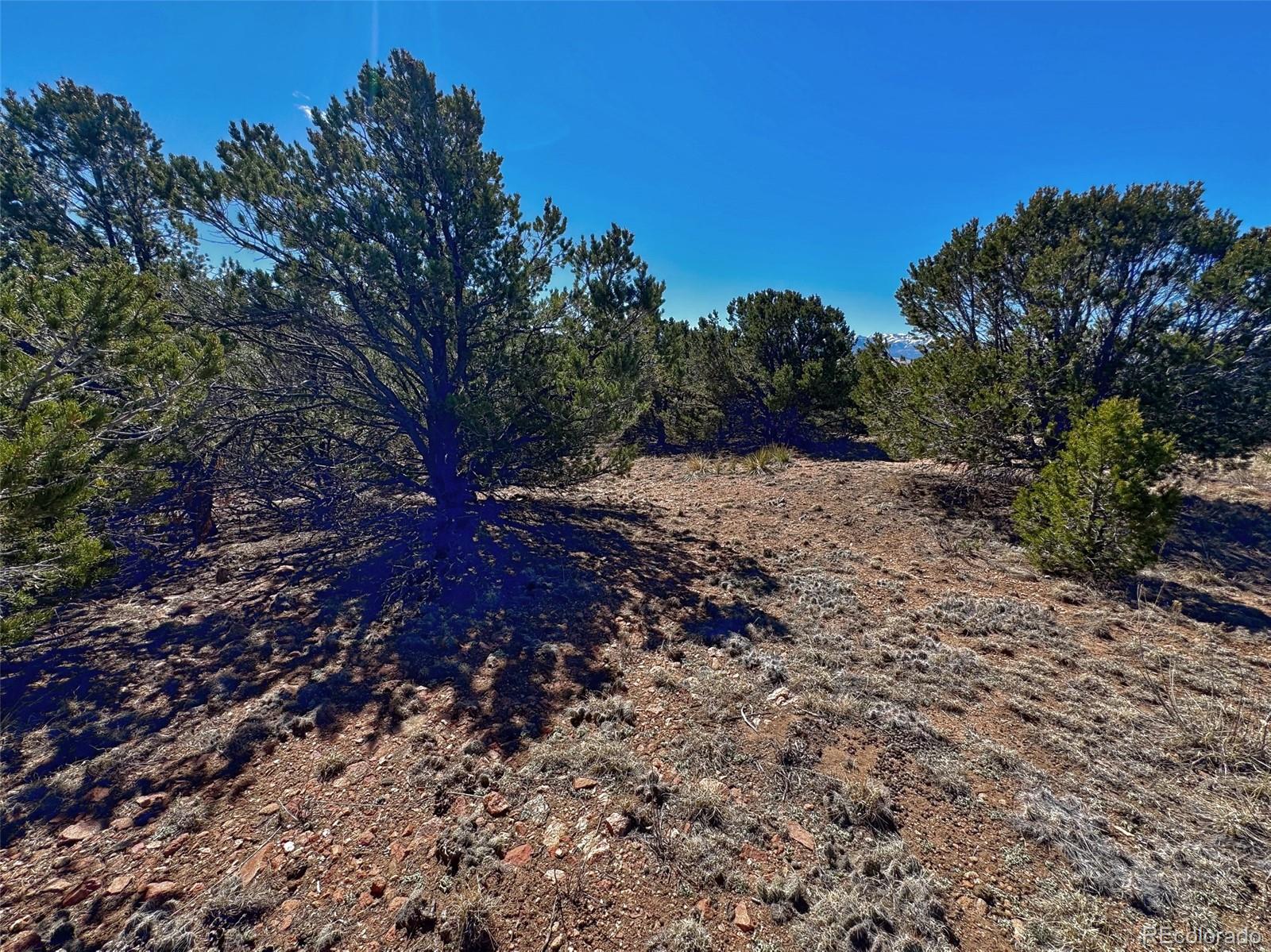 514 Kiowa Road Westcliffe, CO 81252 - Photo 6 of 27 a big yard with lots of green space