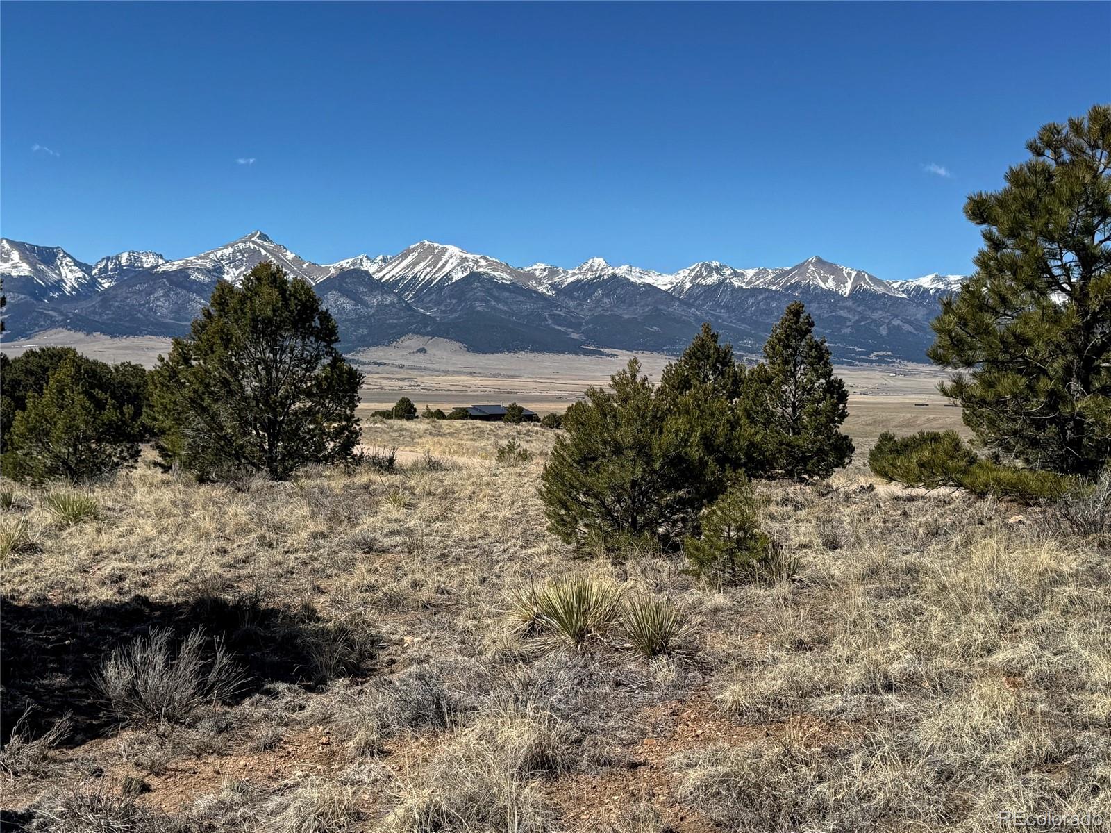 514 Kiowa Road Westcliffe, CO 81252 - Photo 7 of 27 a view of a dry yard with mountains in the background