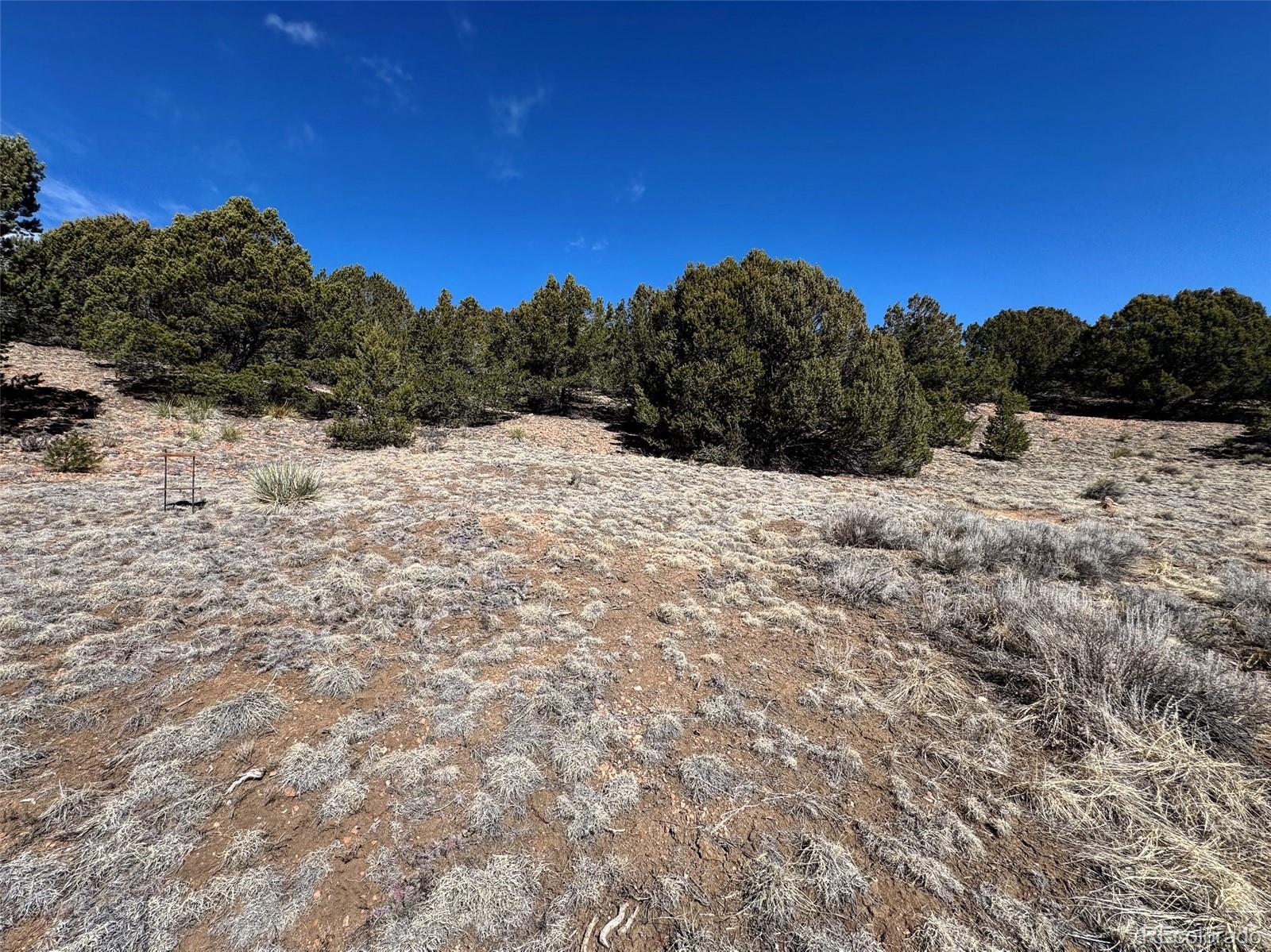 514 Kiowa Road Westcliffe, CO 81252 - Photo 10 of 27 a view of a mountain view