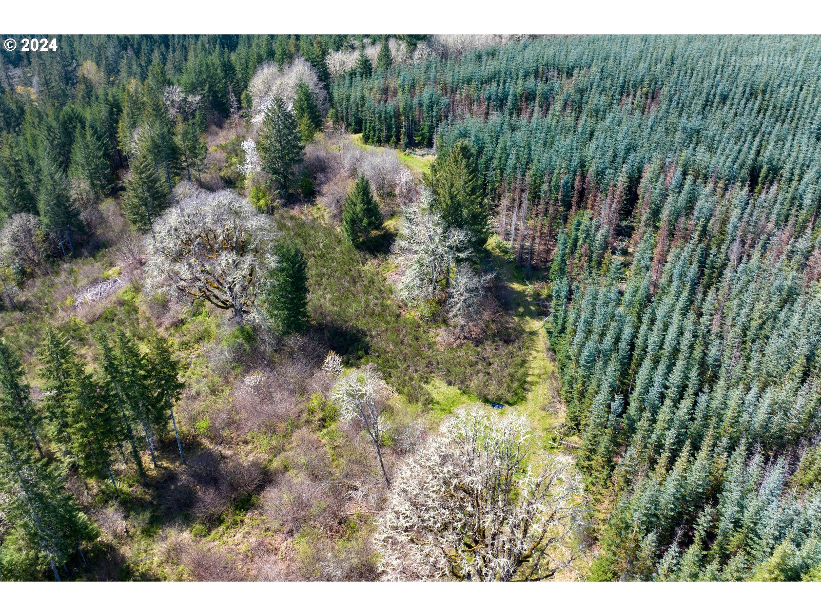 55360 Southwest Sain Creek Road Gaston, OR 97119 - Photo 11 of 47 Gallery Image 11