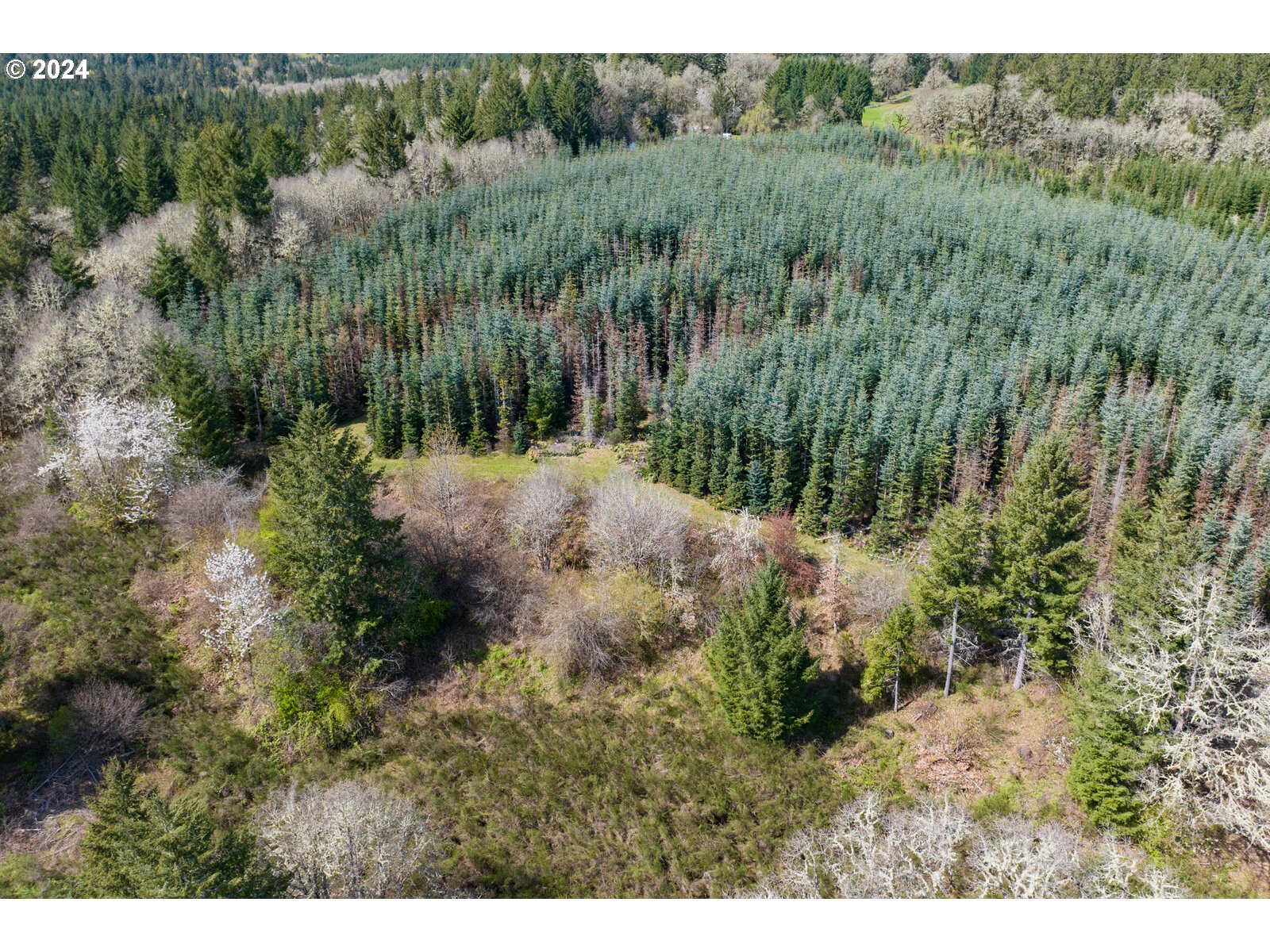 55360 Southwest Sain Creek Road Gaston, OR 97119 - Photo 12 of 47 Gallery Image 12