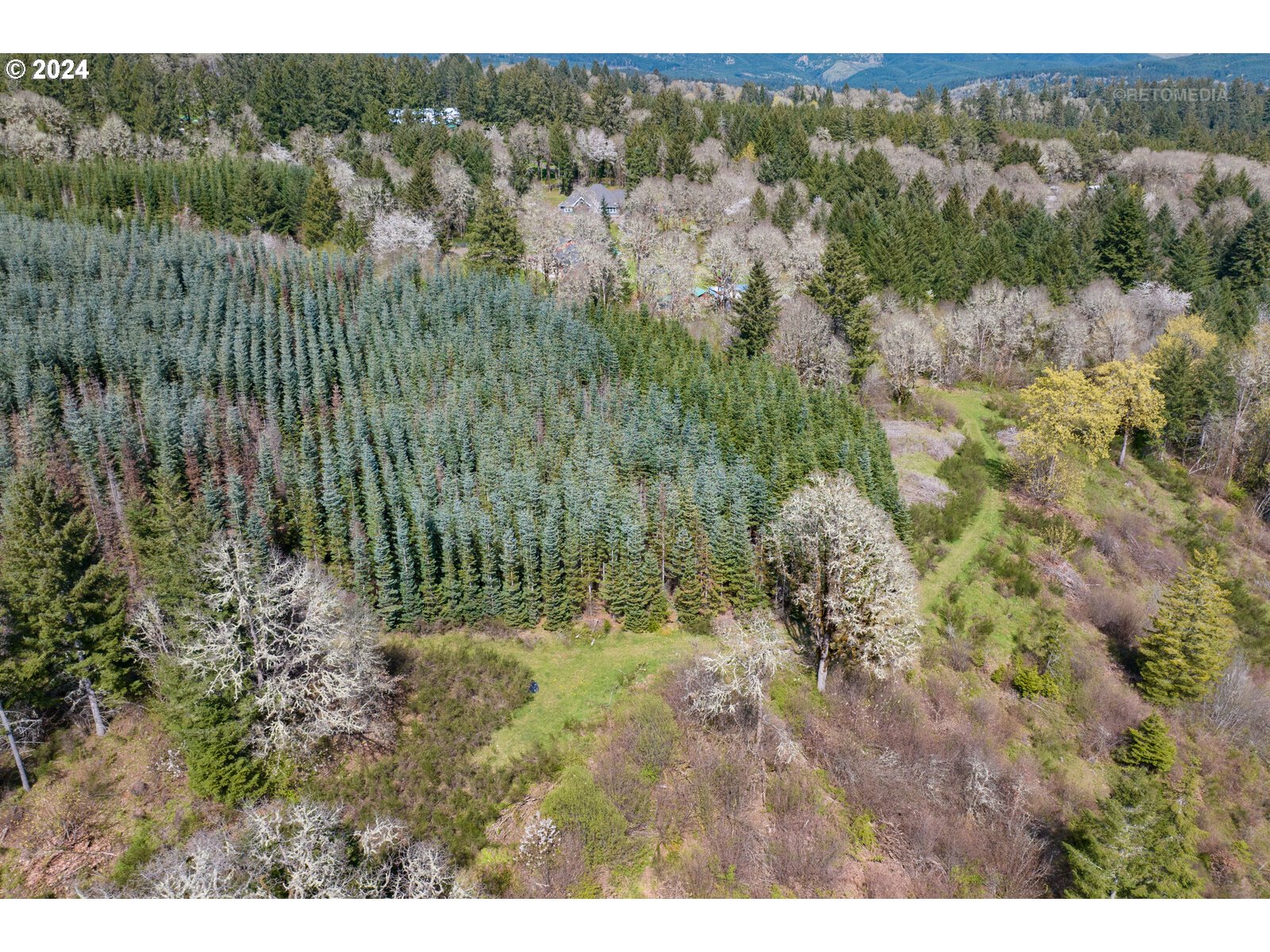 55360 Southwest Sain Creek Road Gaston, OR 97119 - Photo 13 of 47 Gallery Image 13