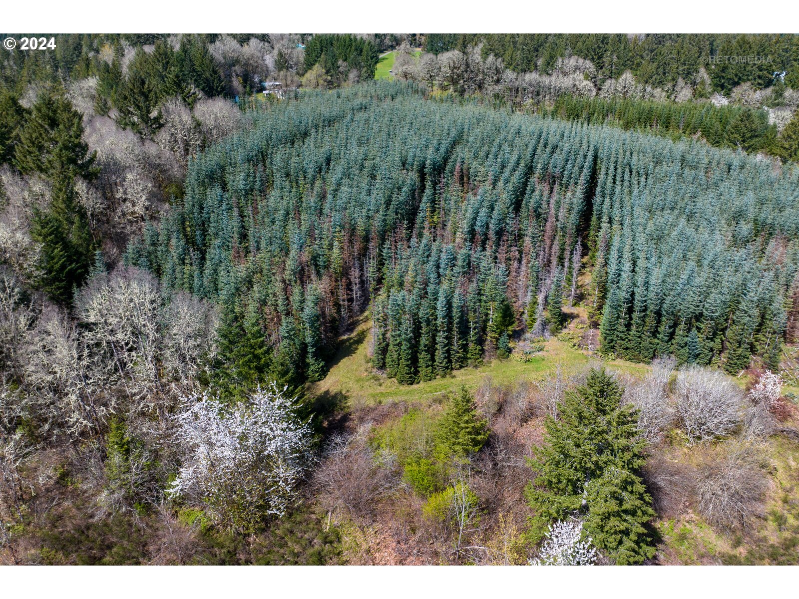 55360 Southwest Sain Creek Road Gaston, OR 97119 - Photo 15 of 47 Gallery Image 15