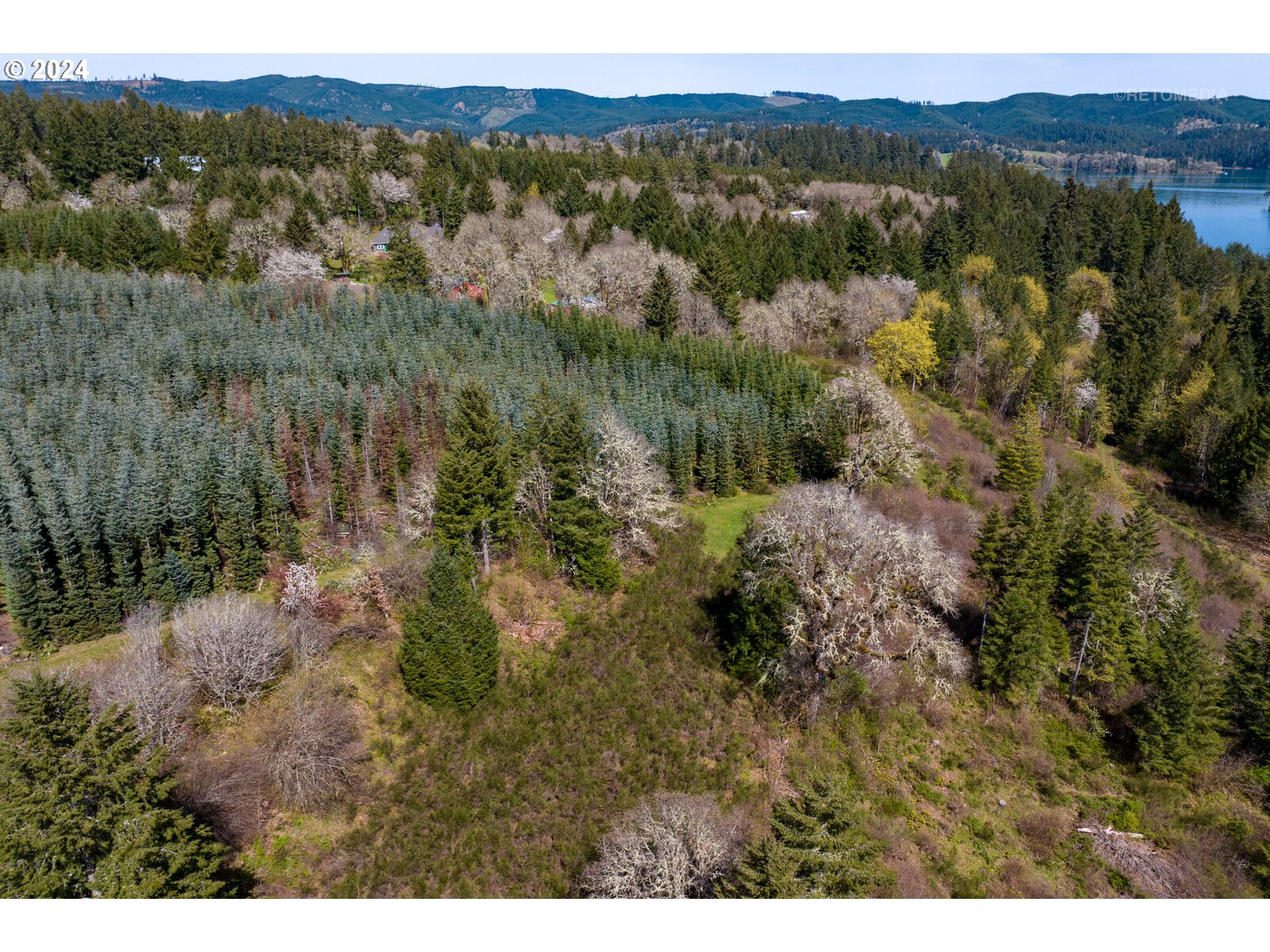 55360 Southwest Sain Creek Road Gaston, OR 97119 - Photo 16 of 47 Gallery Image 16