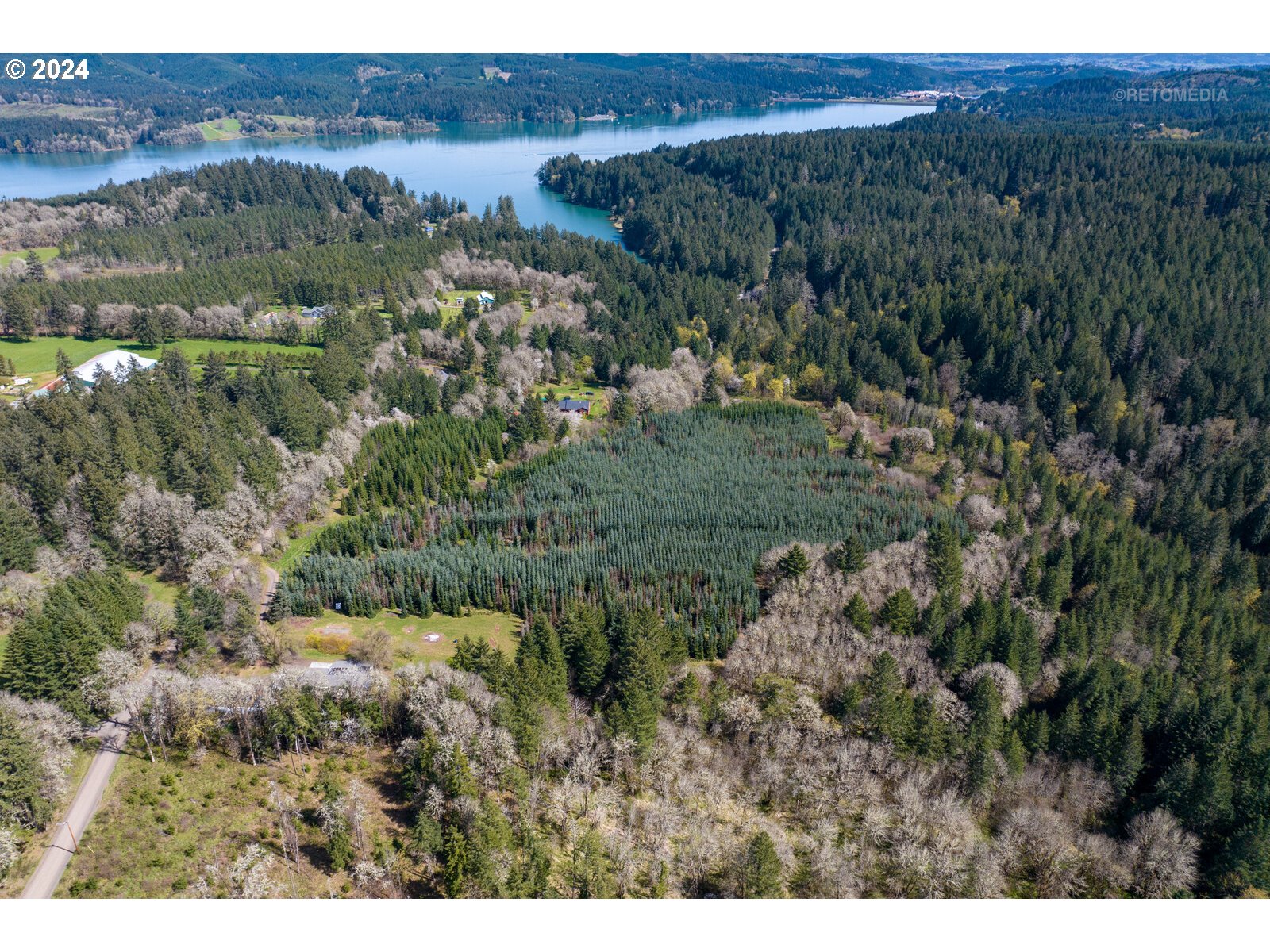 55360 Southwest Sain Creek Road Gaston, OR 97119 - Photo 2 of 47 Gallery Image 2