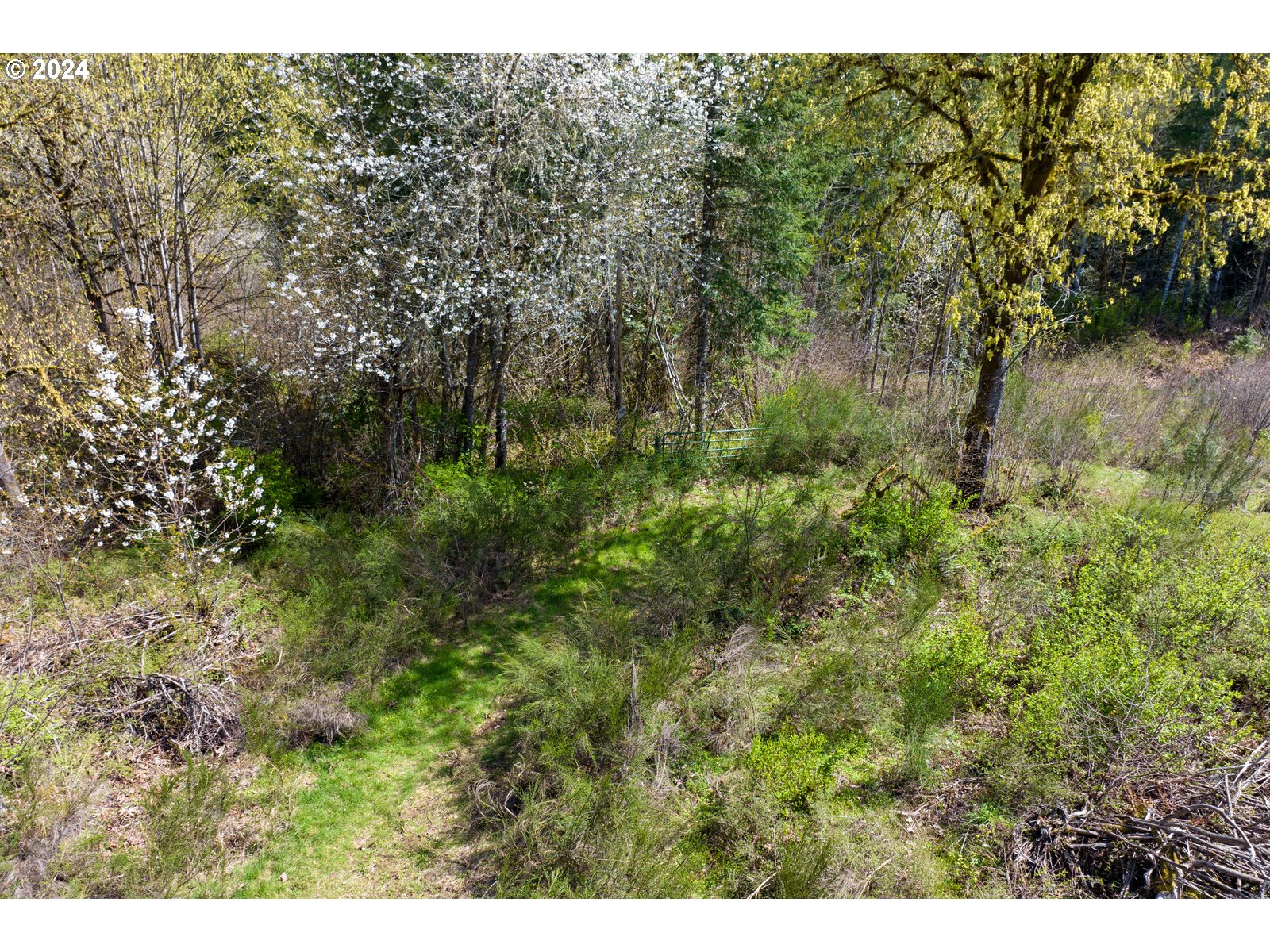 55360 Southwest Sain Creek Road Gaston, OR 97119 - Photo 21 of 47 Gallery Image 21