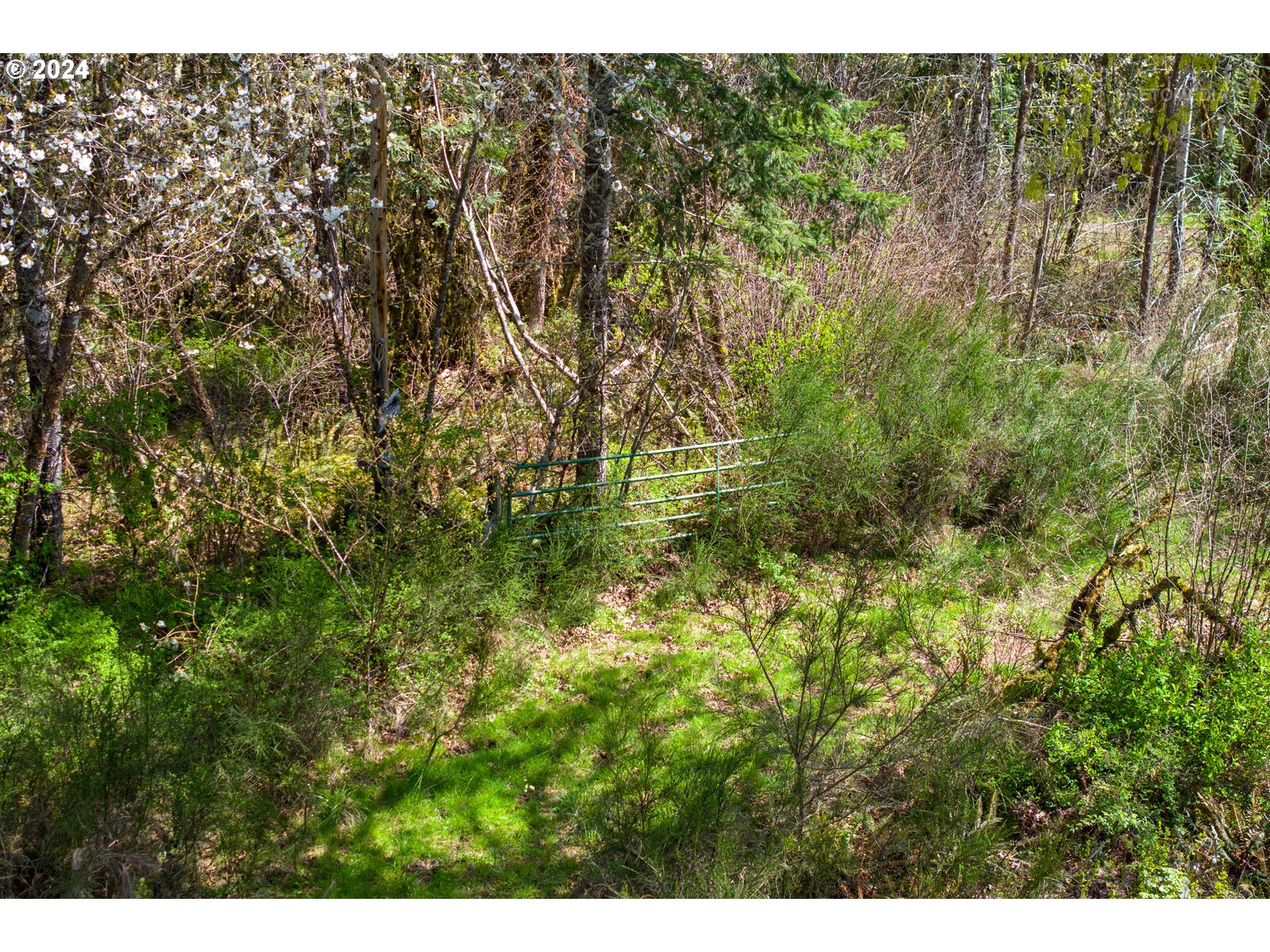 55360 Southwest Sain Creek Road Gaston, OR 97119 - Photo 22 of 47 Gallery Image 22
