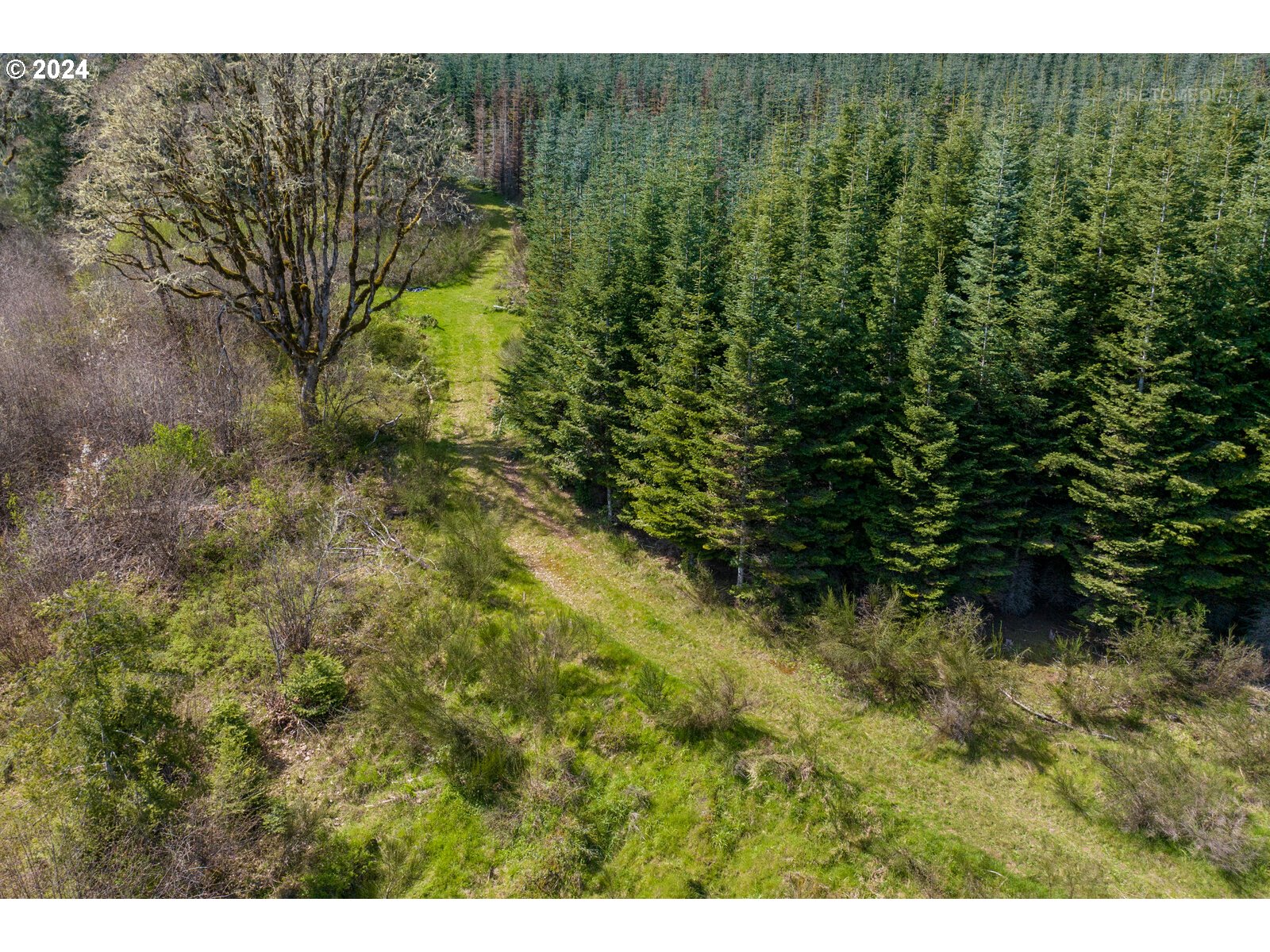 55360 Southwest Sain Creek Road Gaston, OR 97119 - Photo 23 of 47 Gallery Image 23