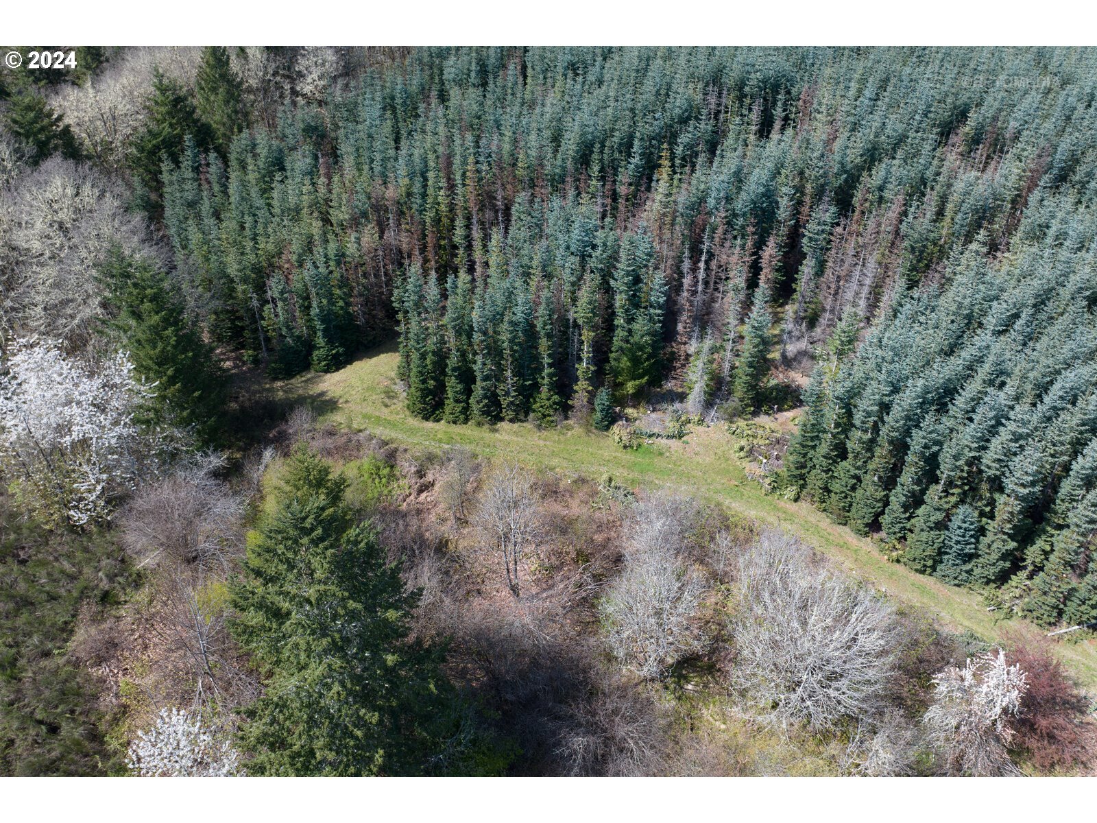 55360 Southwest Sain Creek Road Gaston, OR 97119 - Photo 24 of 47 Gallery Image 24