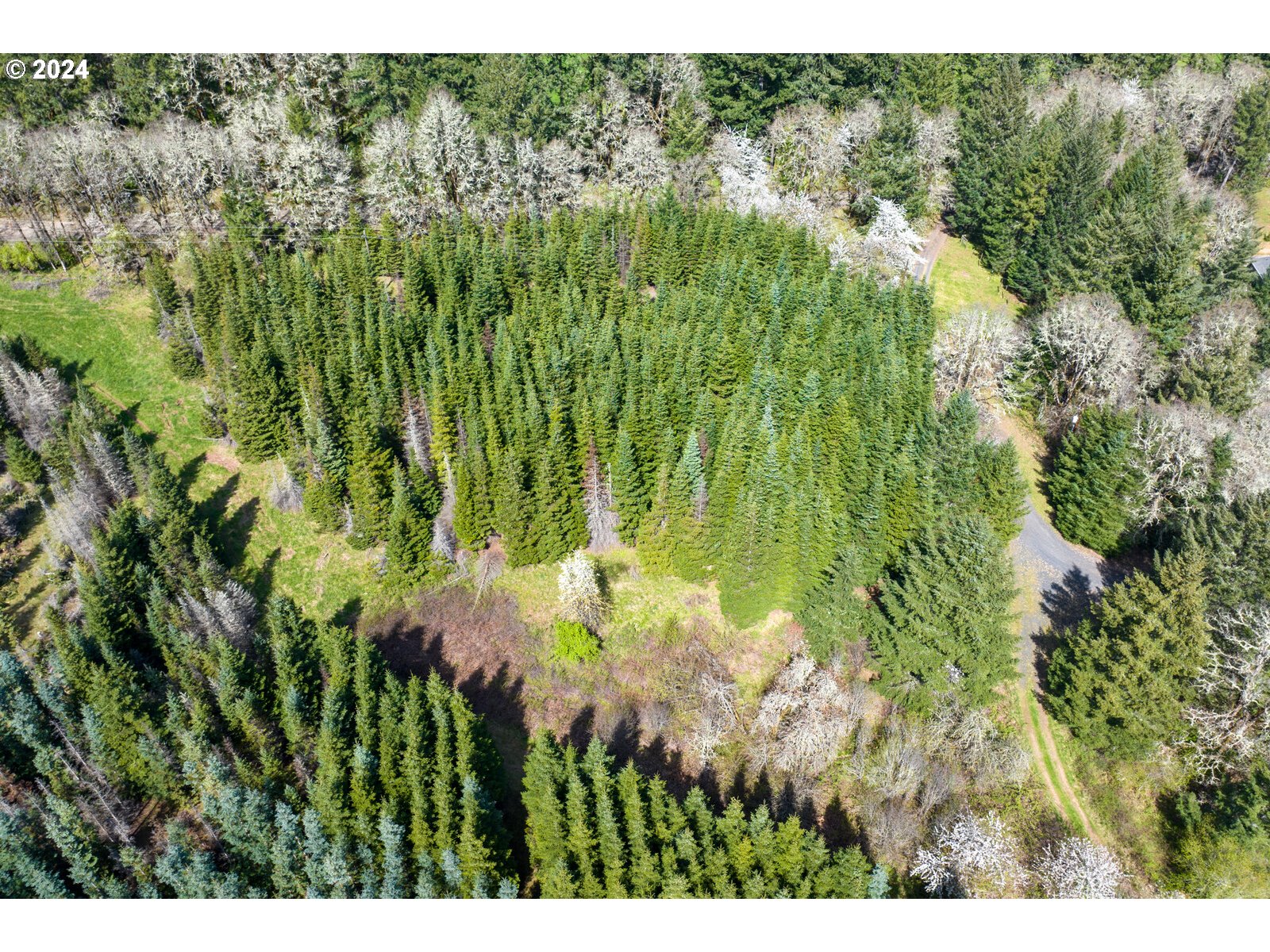 55360 Southwest Sain Creek Road Gaston, OR 97119 - Photo 26 of 47 Gallery Image 26