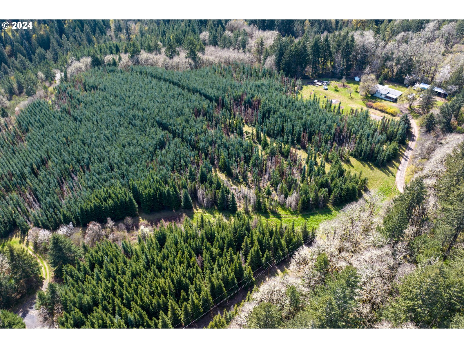 55360 Southwest Sain Creek Road Gaston, OR 97119 - Photo 28 of 47 Gallery Image 28