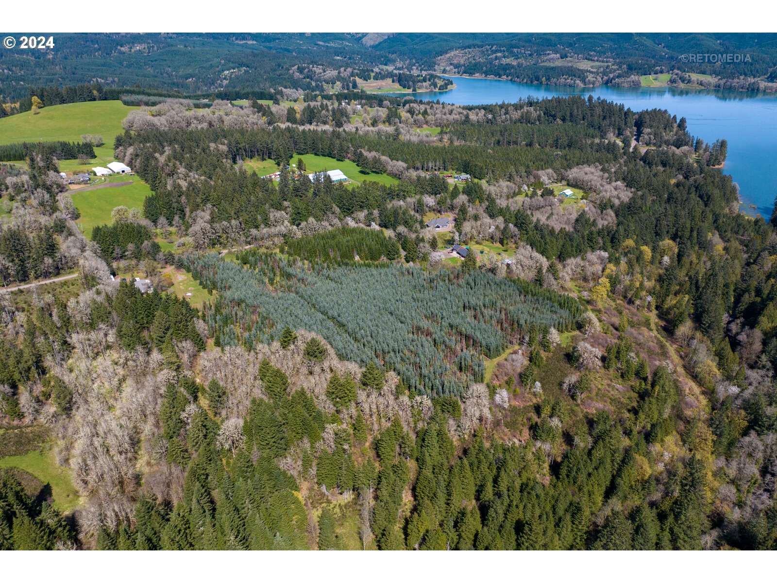 55360 Southwest Sain Creek Road Gaston, OR 97119 - Photo 3 of 47 Gallery Image 3