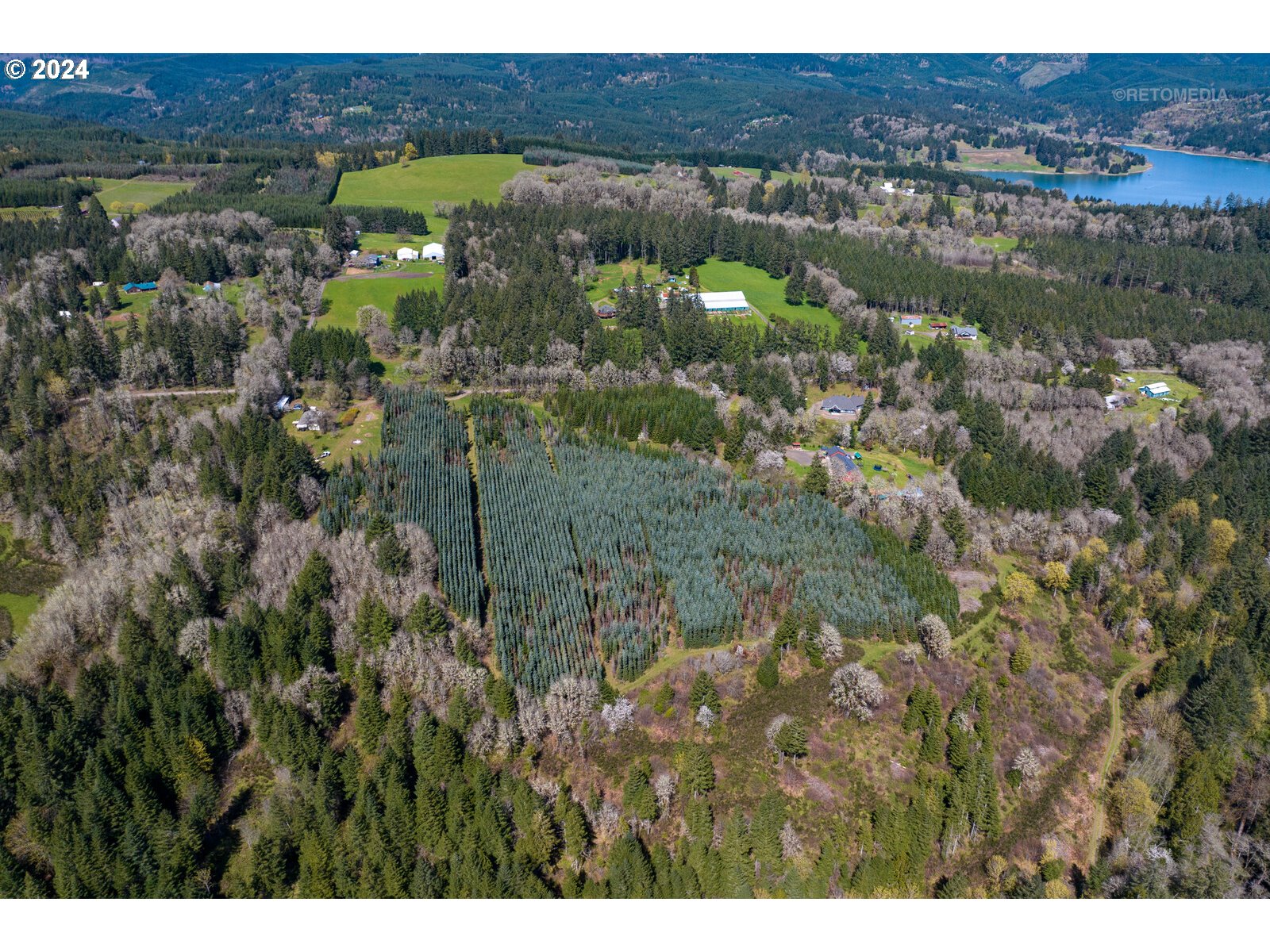 55360 Southwest Sain Creek Road Gaston, OR 97119 - Photo 4 of 47 Gallery Image 4