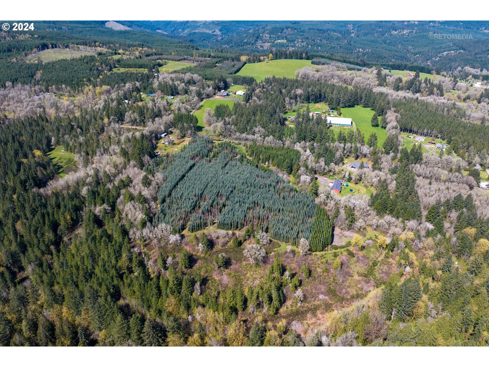 55360 Southwest Sain Creek Road Gaston, OR 97119 - Photo 5 of 47 Gallery Image 5