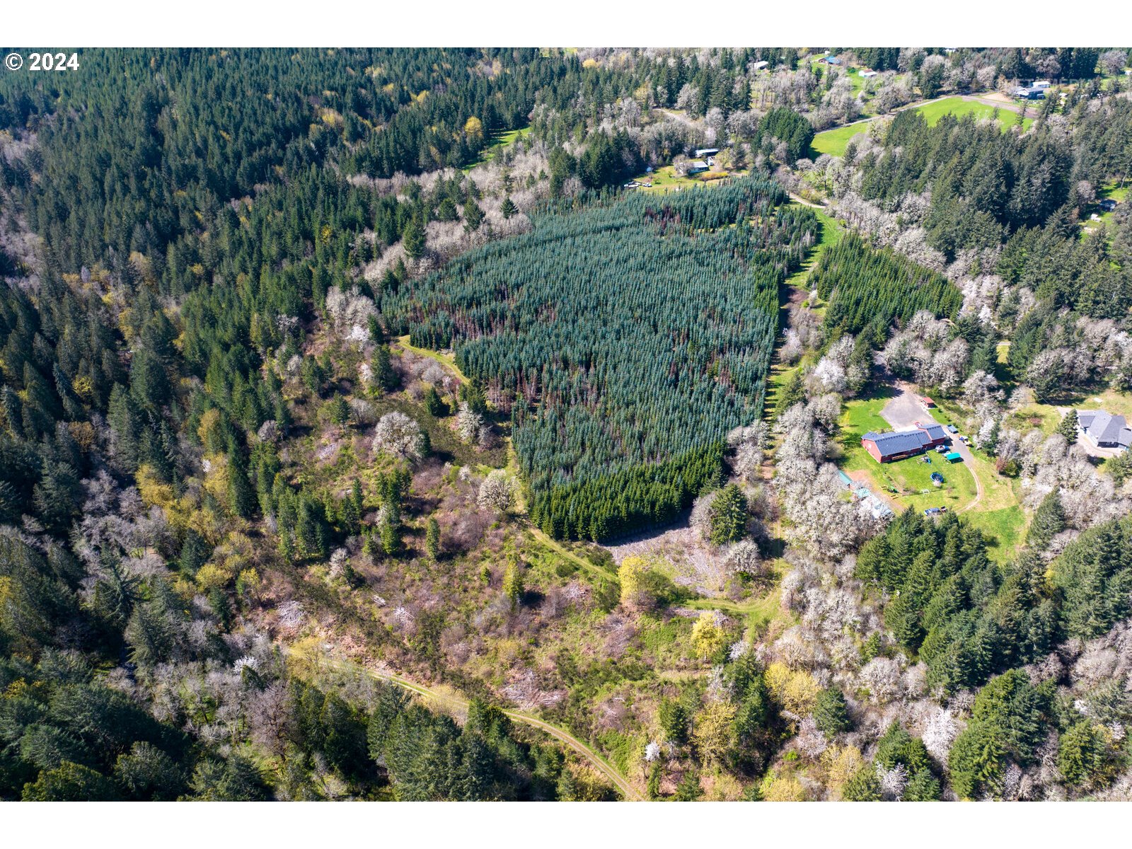 55360 Southwest Sain Creek Road Gaston, OR 97119 - Photo 6 of 47 Gallery Image 6