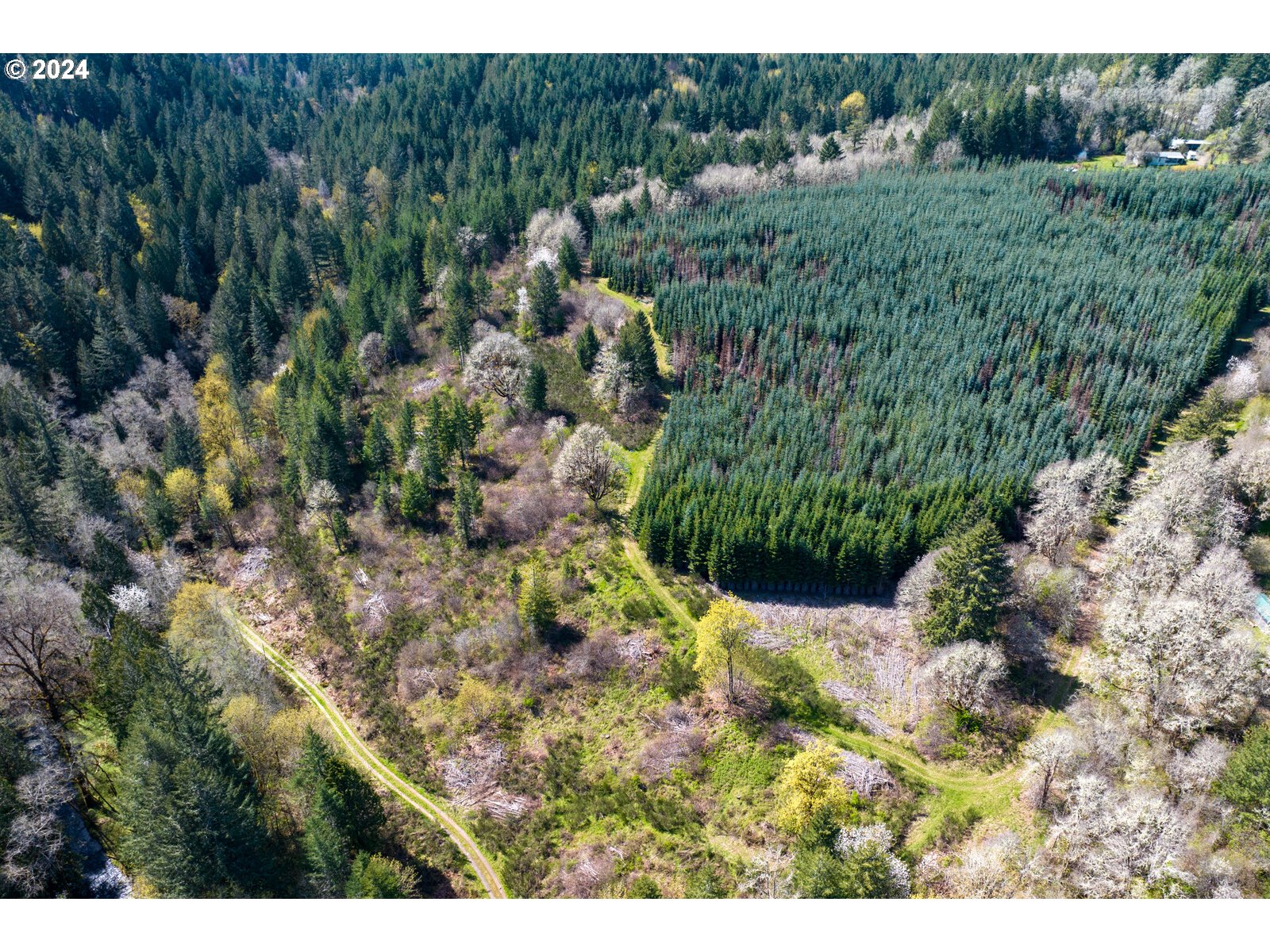 55360 Southwest Sain Creek Road Gaston, OR 97119 - Photo 7 of 47 Gallery Image 7