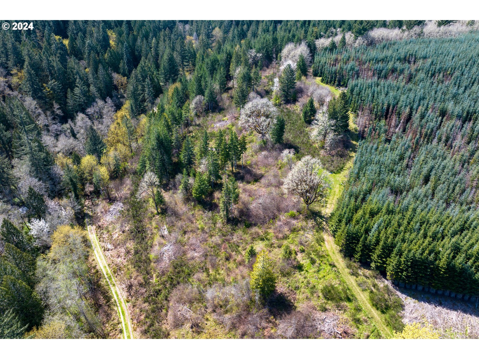 55360 Southwest Sain Creek Road Gaston, OR 97119 - Photo 8 of 47 Gallery Image 8