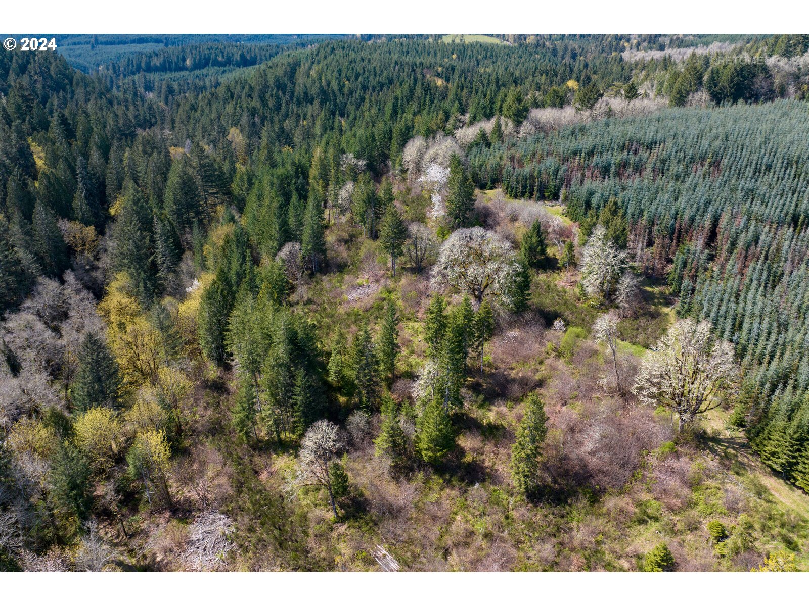 55360 Southwest Sain Creek Road Gaston, OR 97119 - Photo 9 of 47 Gallery Image 9